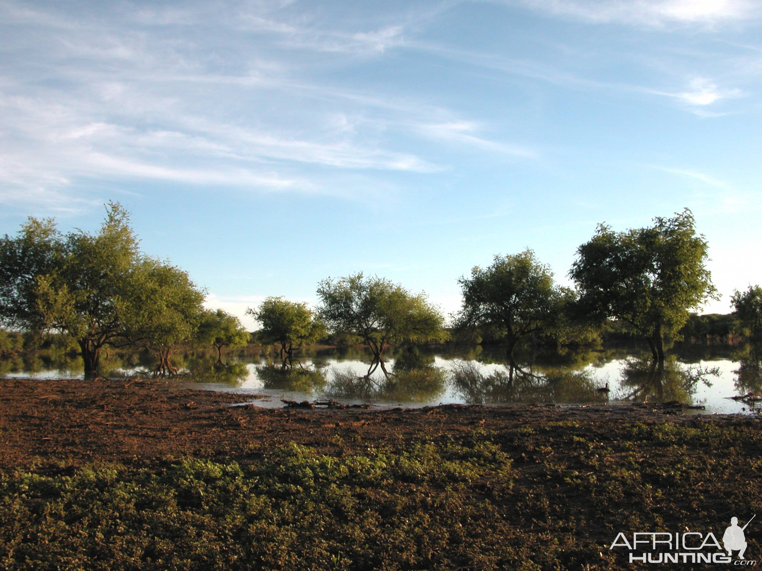 Africa Namibia Waterhole Raining Season