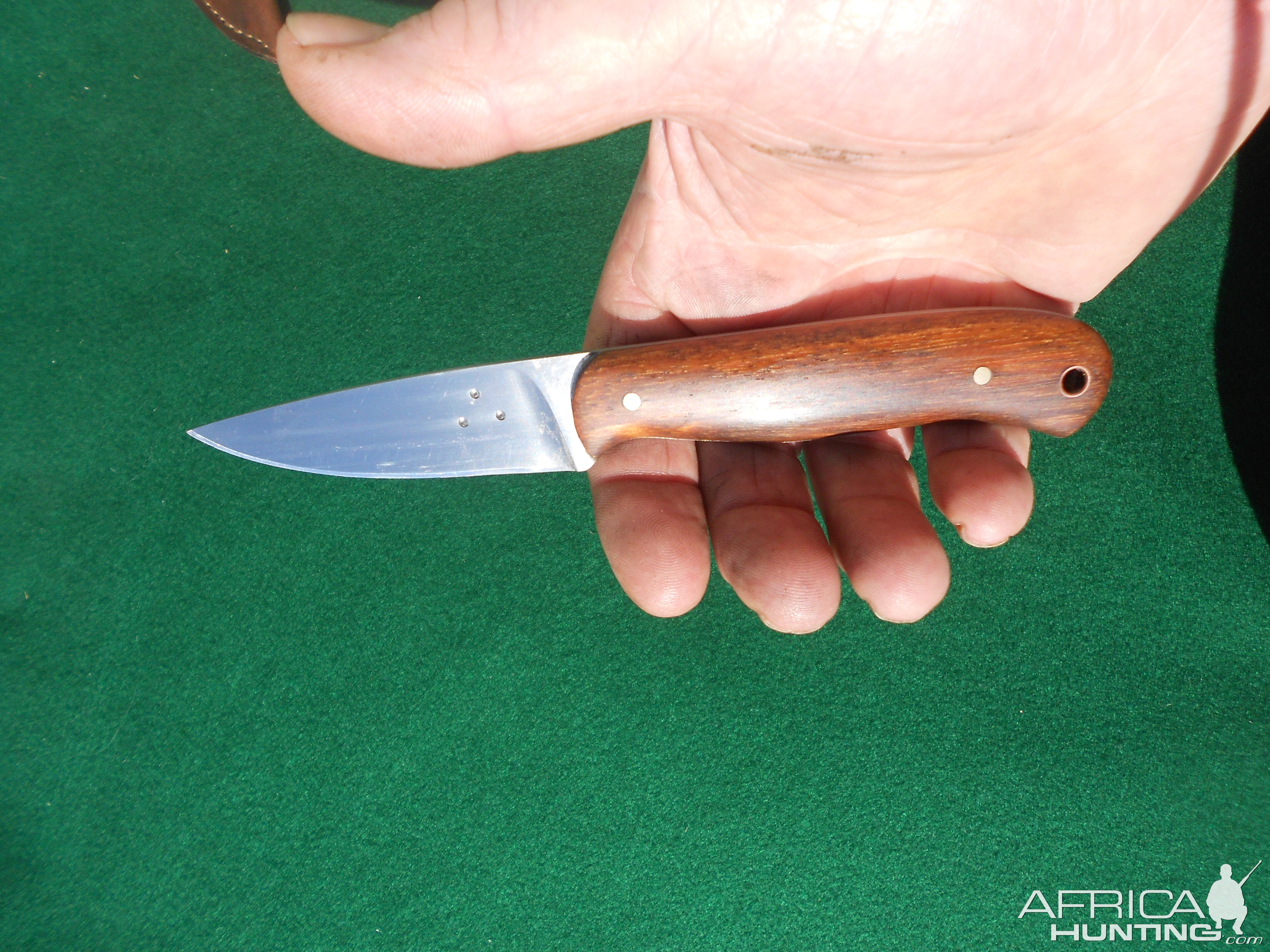 AfricaHunting.com Hunting Knife