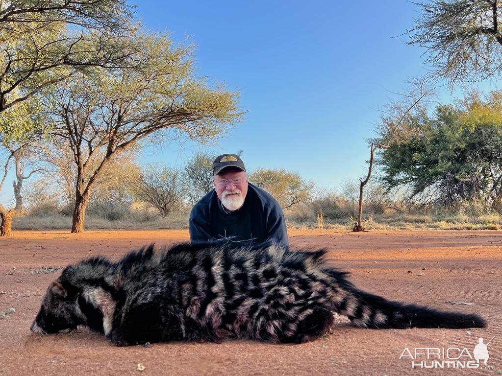 African Civet Hunt South Africa