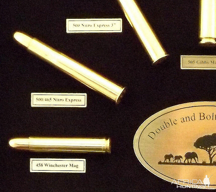 African Double & Bolt Action Cartridge Board from African Sporting Creations