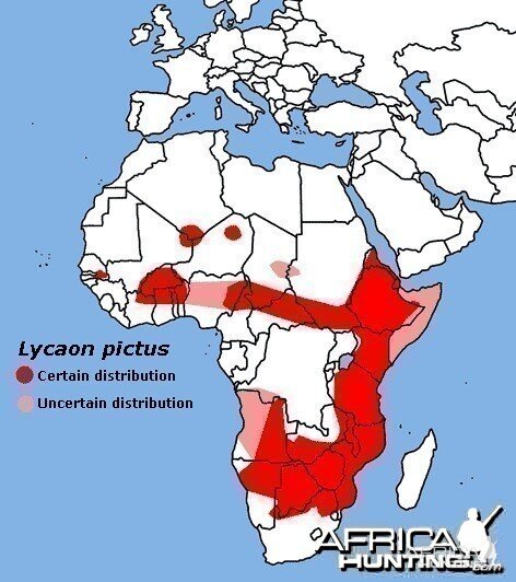 African Wild Dog Range (Lycaon pictus)