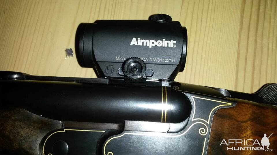 Aimpoint Sight mounted on rifle