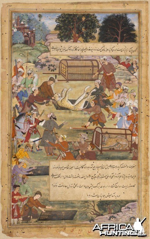 Akbar assists in capturing a Cheetah, ca. 1590-1595