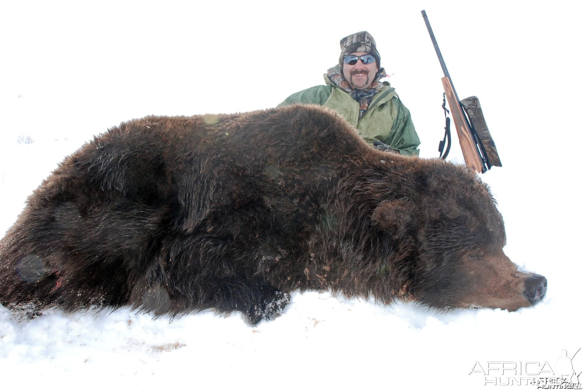 Alaska Brown Bear Hunt