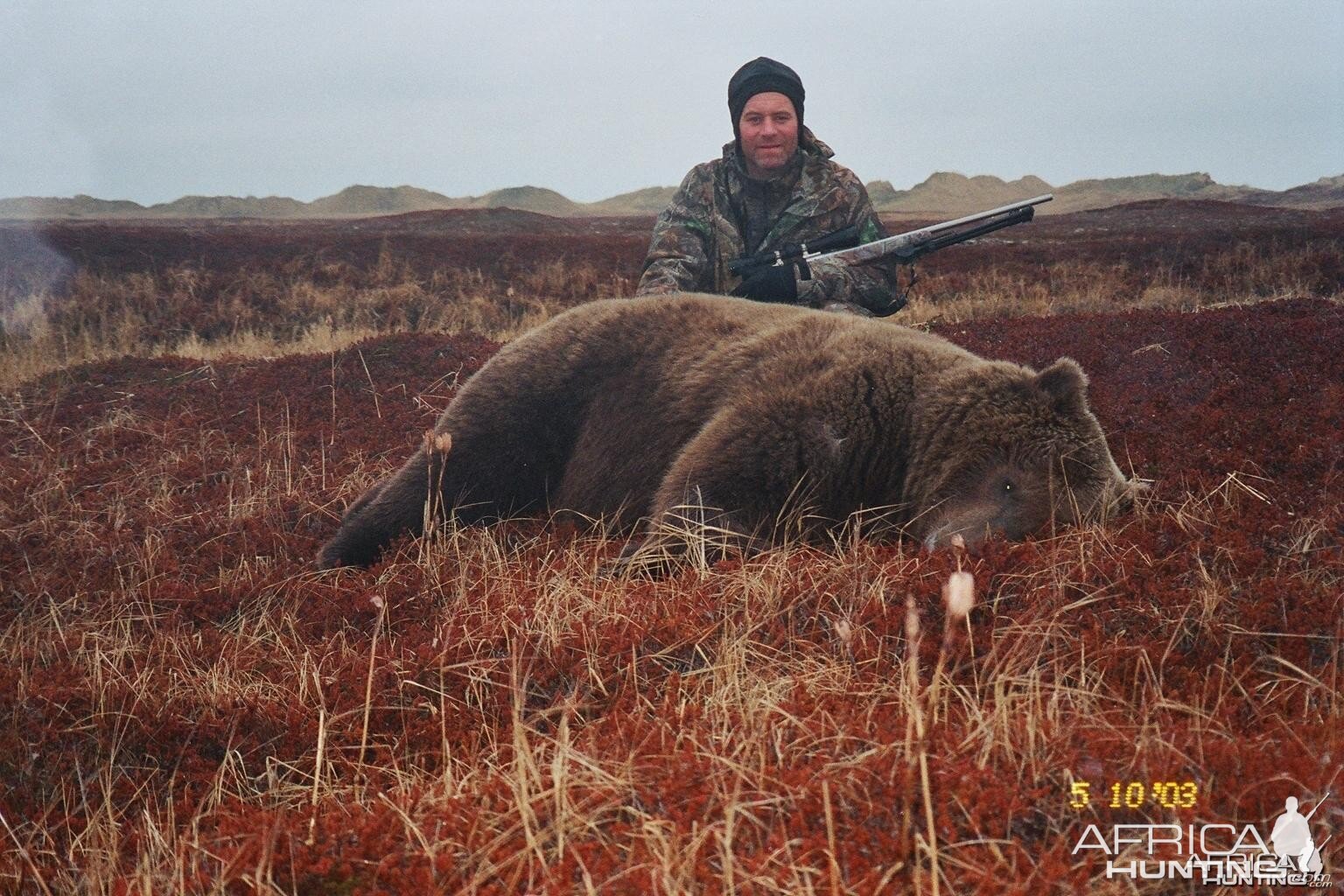 Alaska Brown Bear