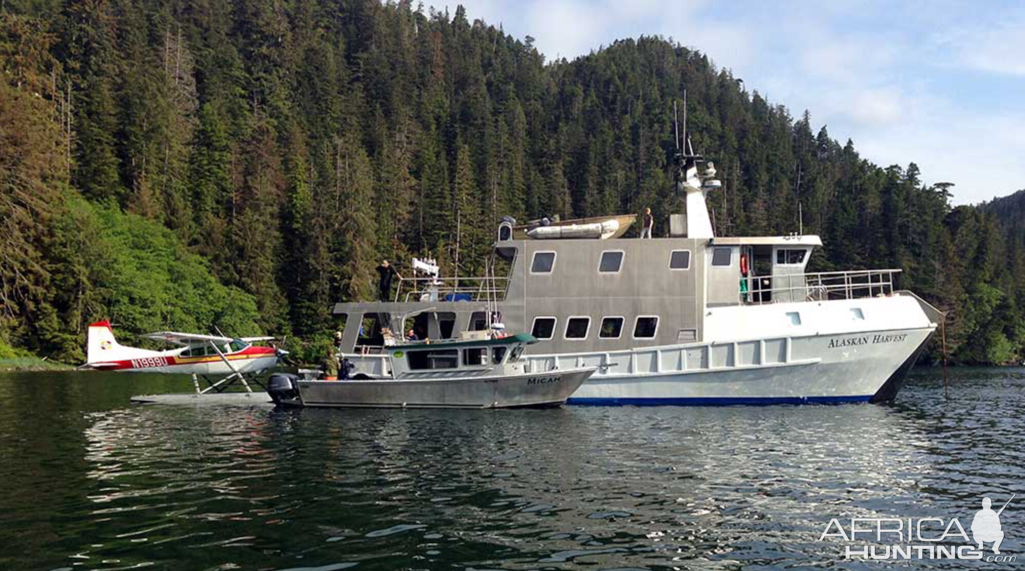 Alaska Mountain Goat Hunt With Parker Guide Service