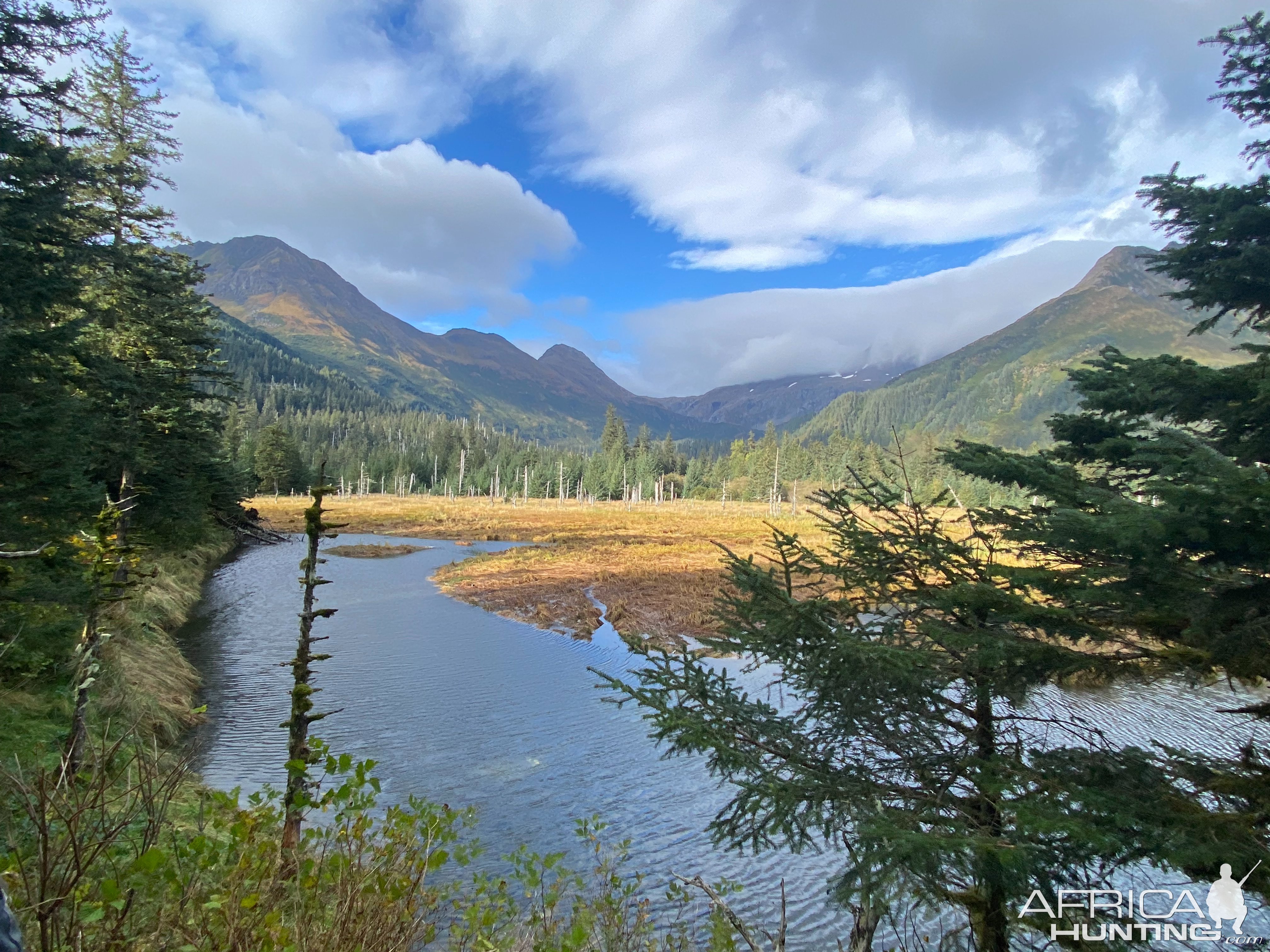 Alaska Scenery