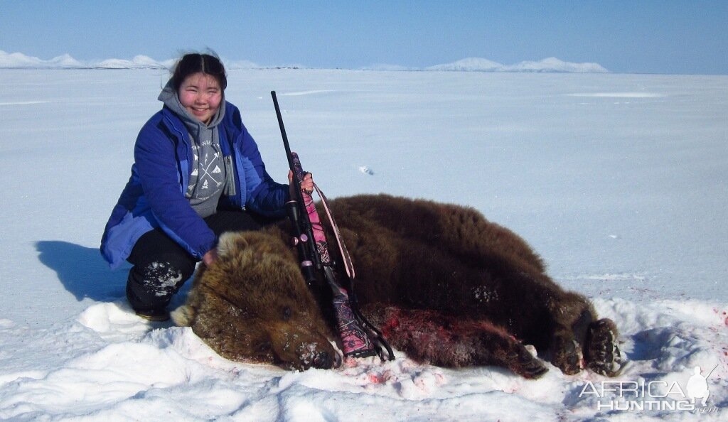 Alaska USA Hunt Brown Bear