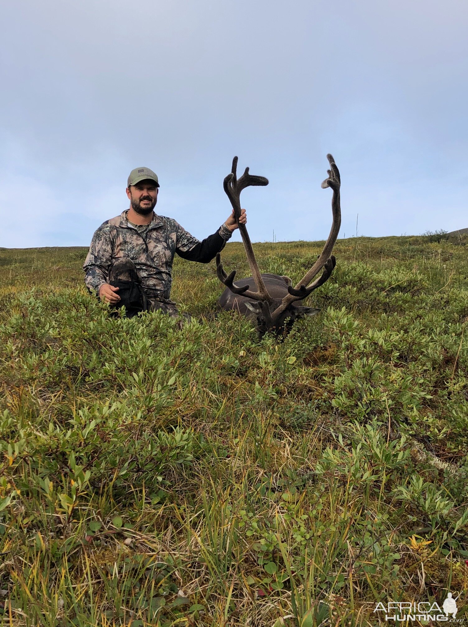 Alaska USA Hunting Caribou