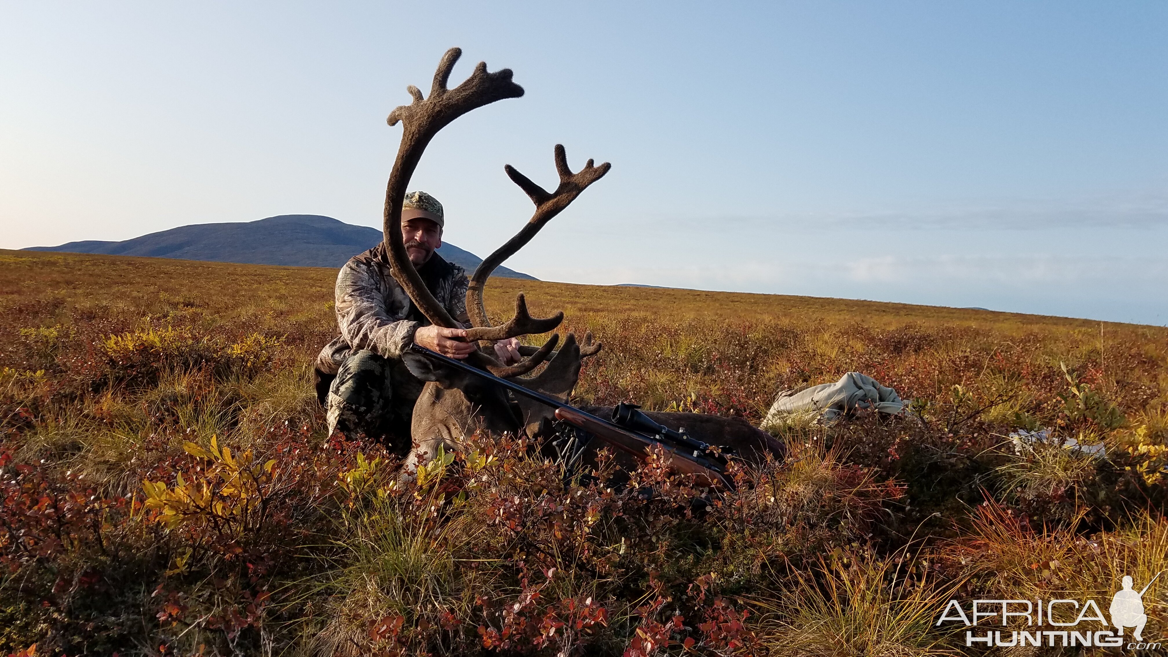 Alaska USA Hunting Caribou