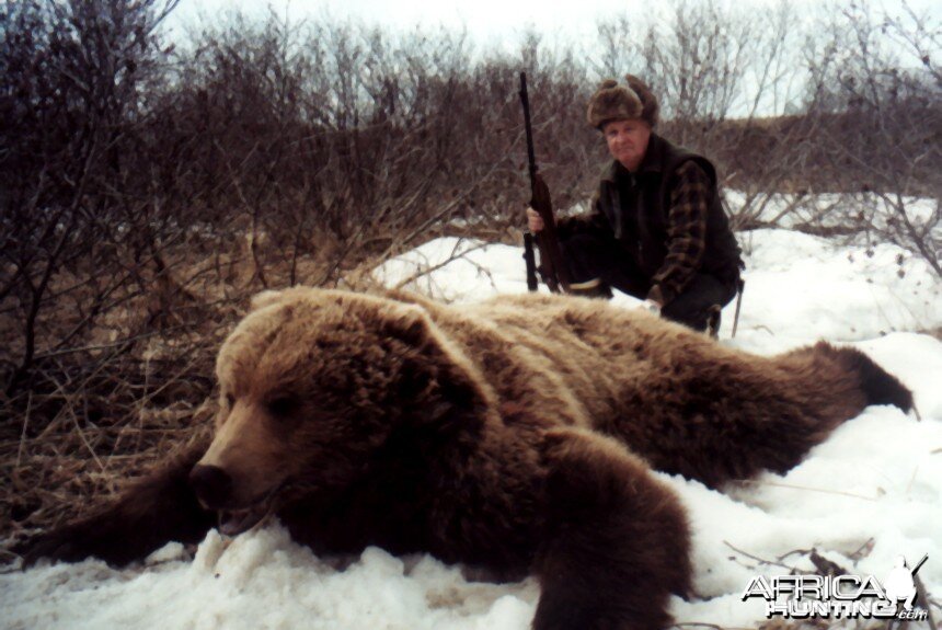 Alaskan Brown Bear