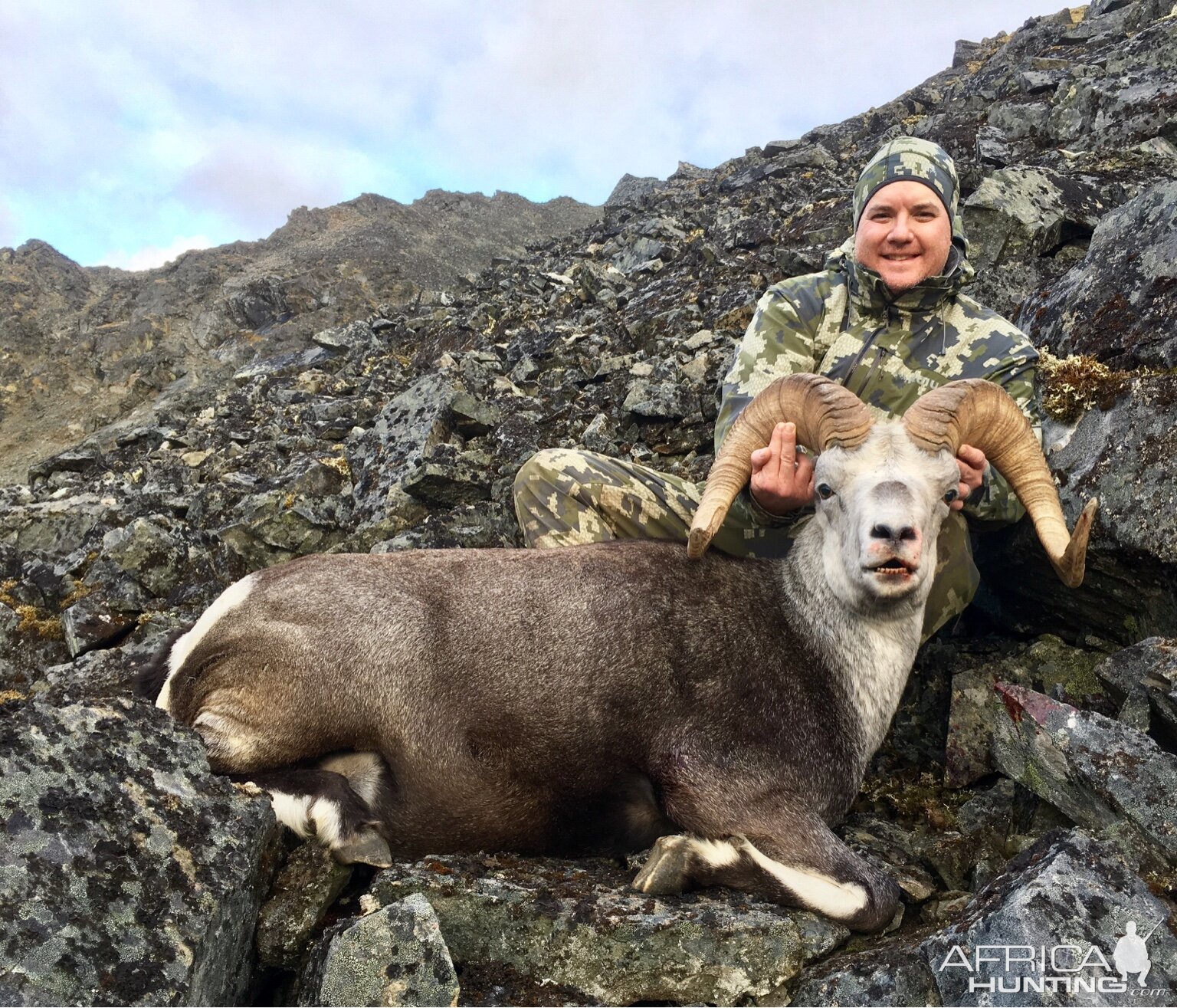 Alaskan Dall Sheep Hunt