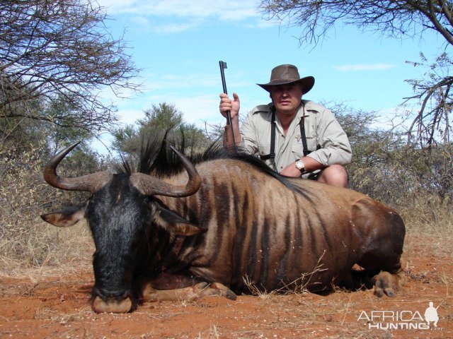 Alexander Danil Wildebeest