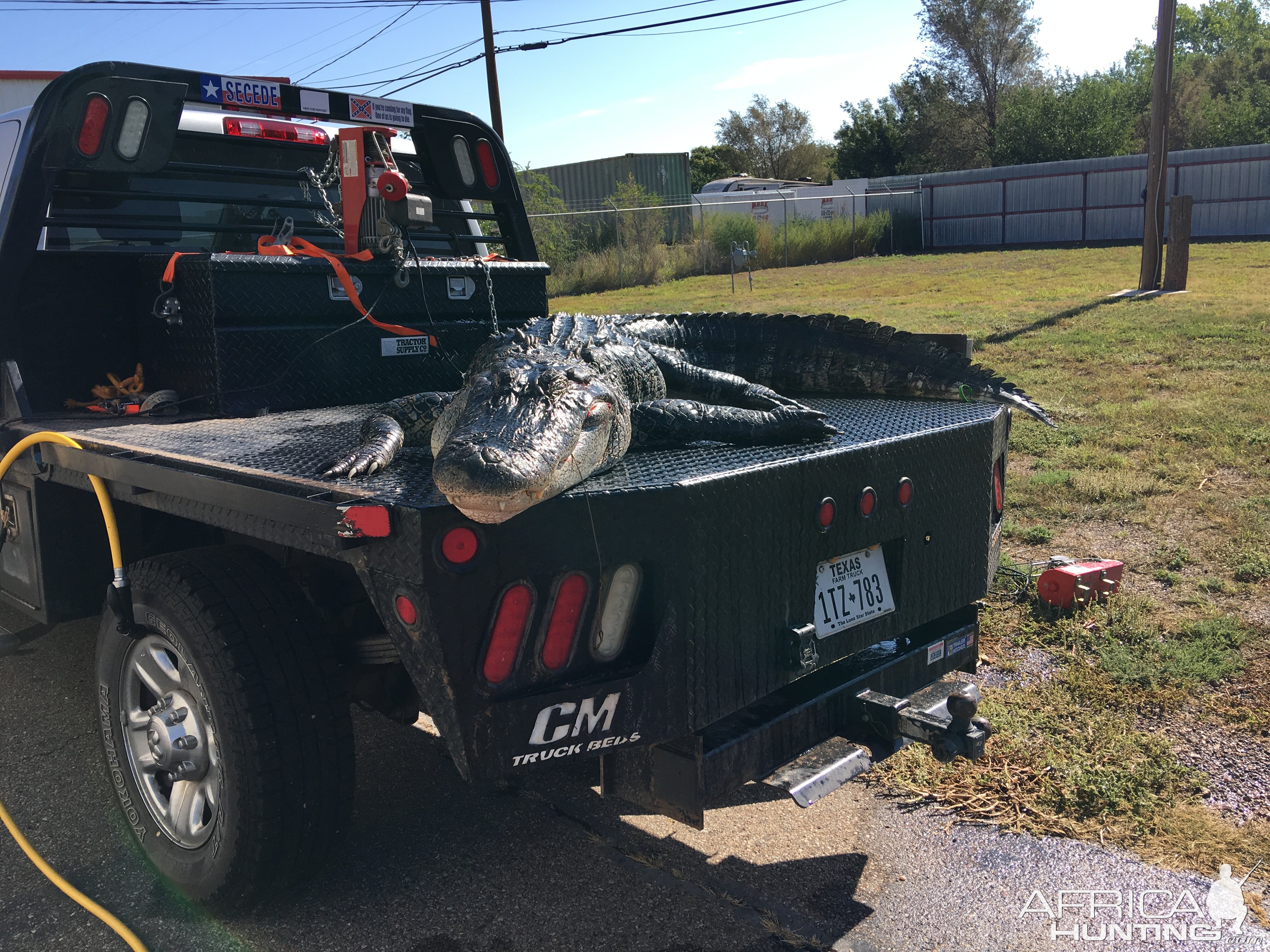 Alligator Hunt Little Texas