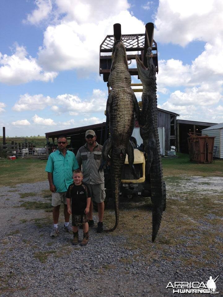 Alligator hunts in Louisiana