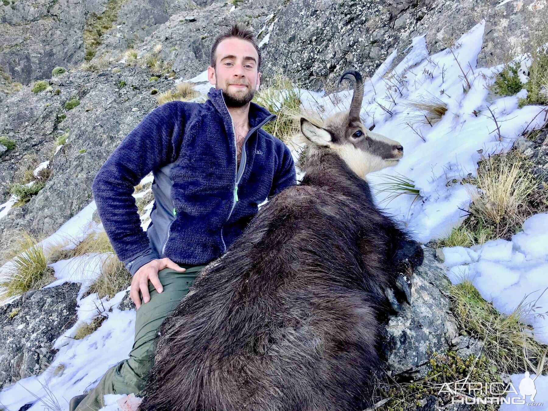 Alpine Chamois Hunt New Zealand