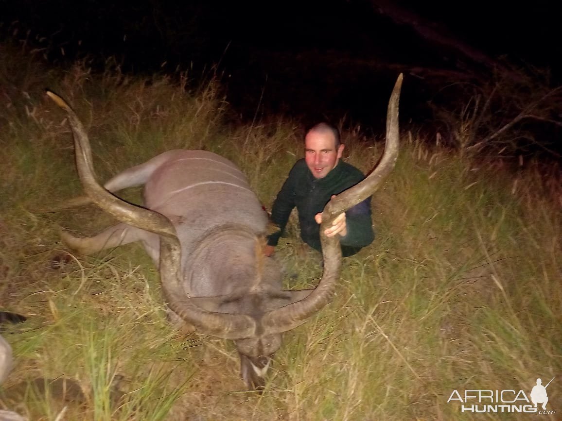 Amazing Eastern Cape Kudu