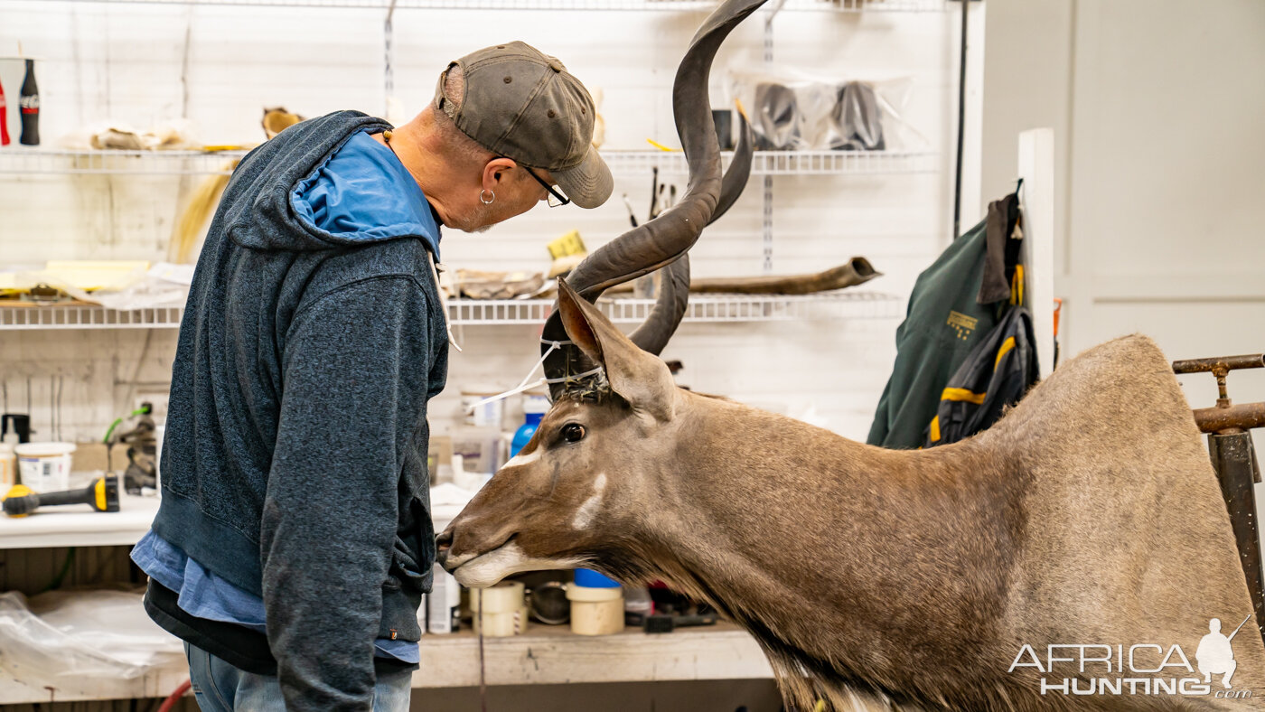 Animal Artistry Finishing Department