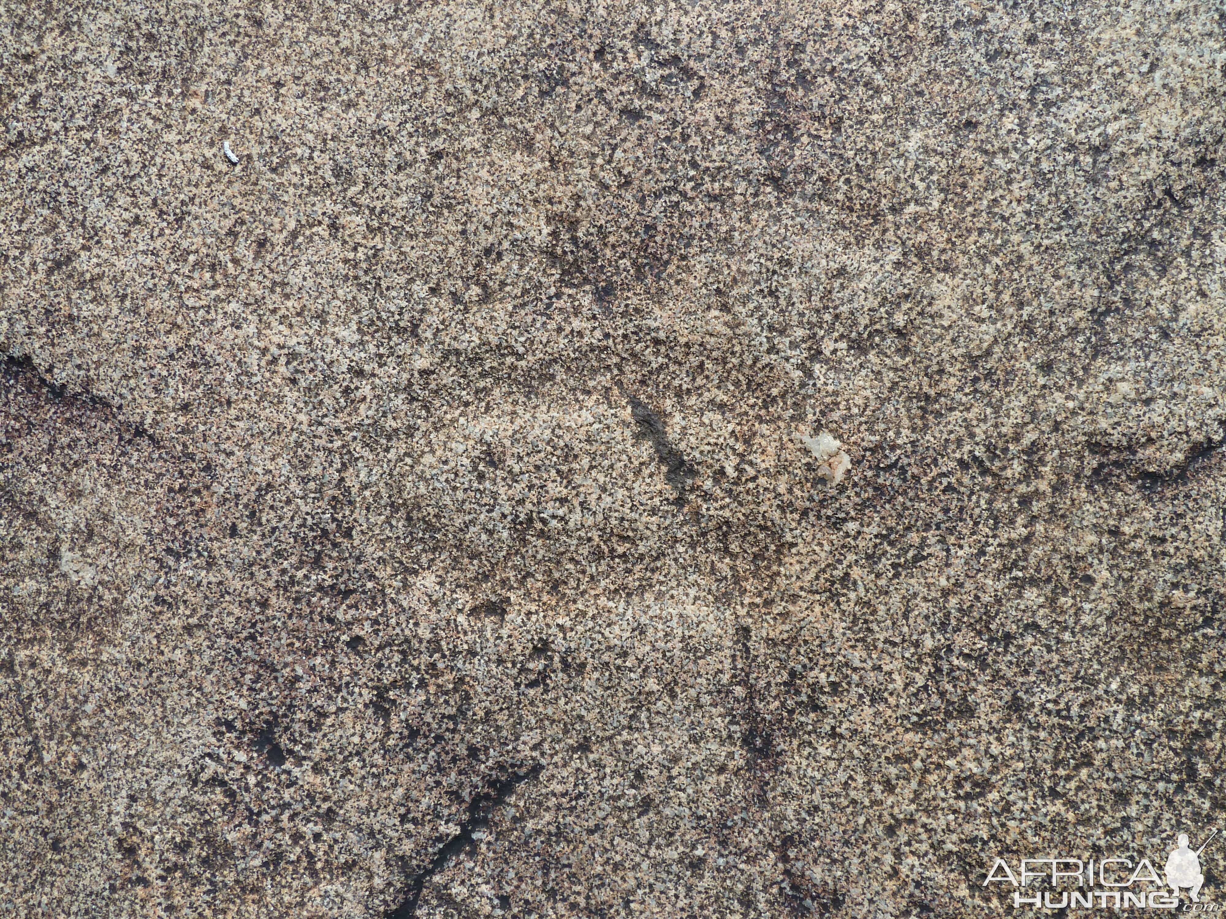 Animal tracks in the rock in Namibia