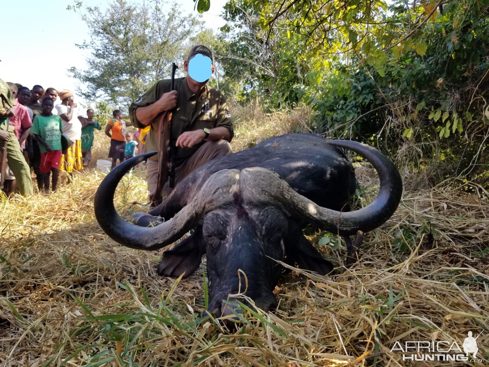 Another 44 inch Omay Buffalo