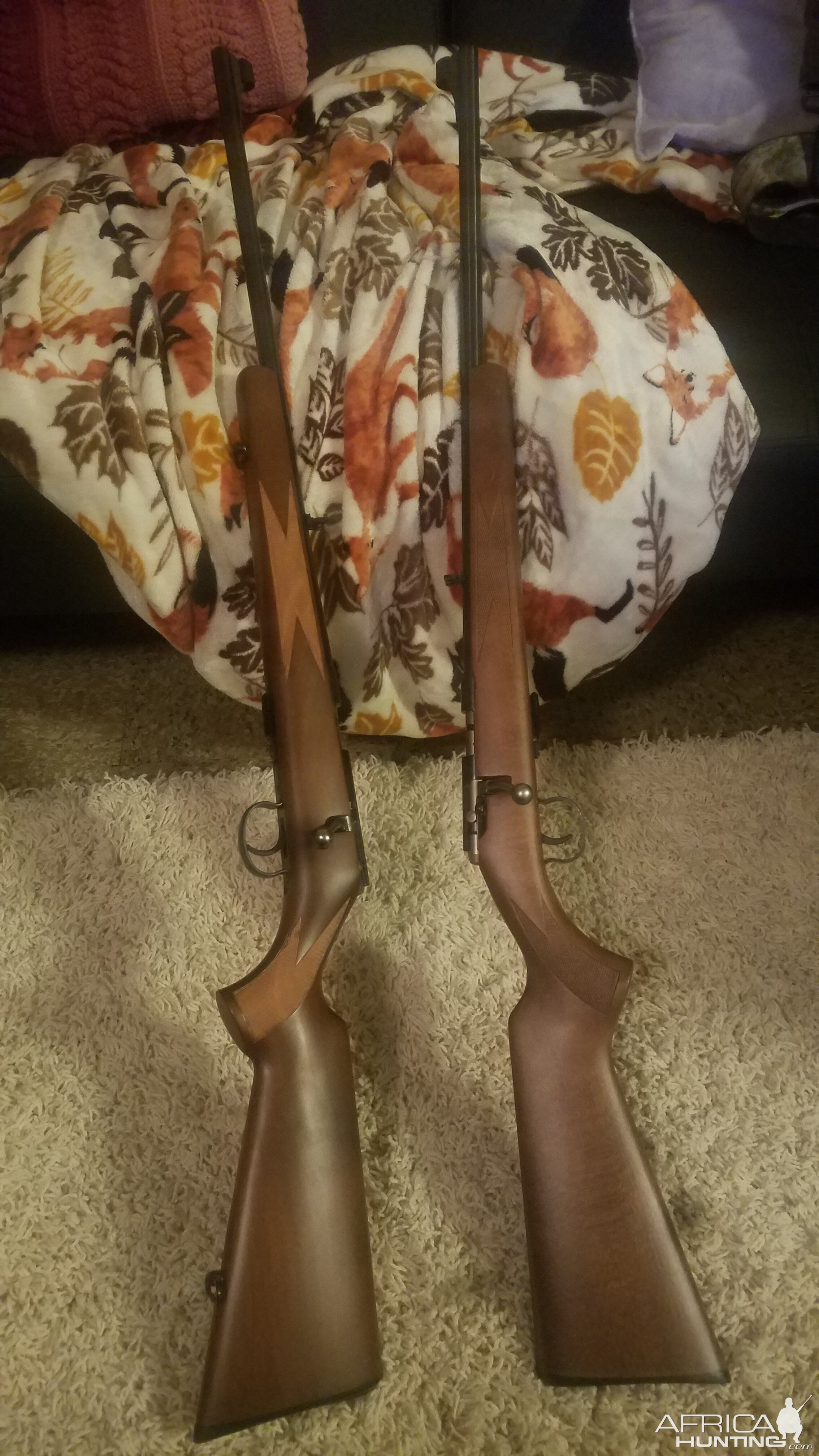 Anschutz .22 LR Sporters - Righty & Lefty