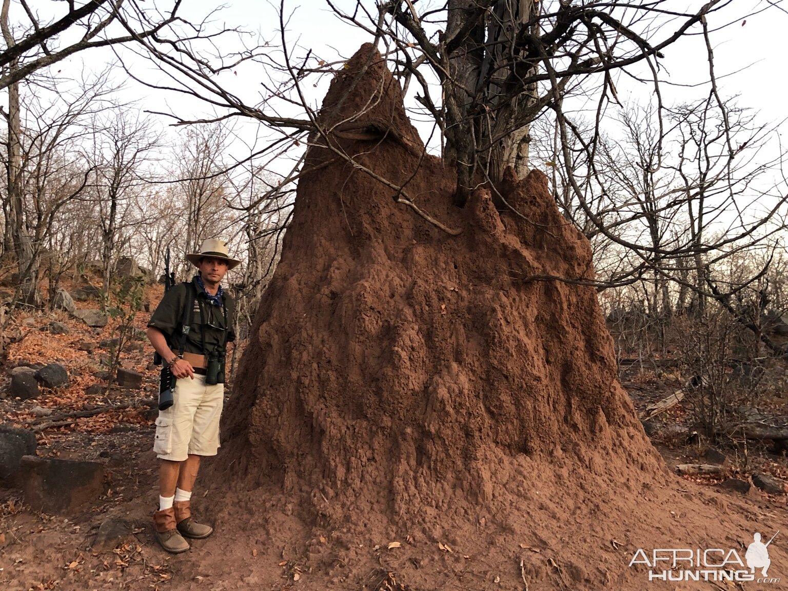 Ant Hill in Zimbabwe