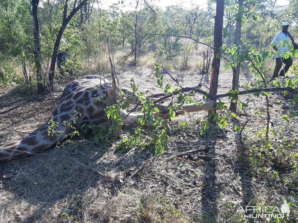 Anti-poaching Patrol