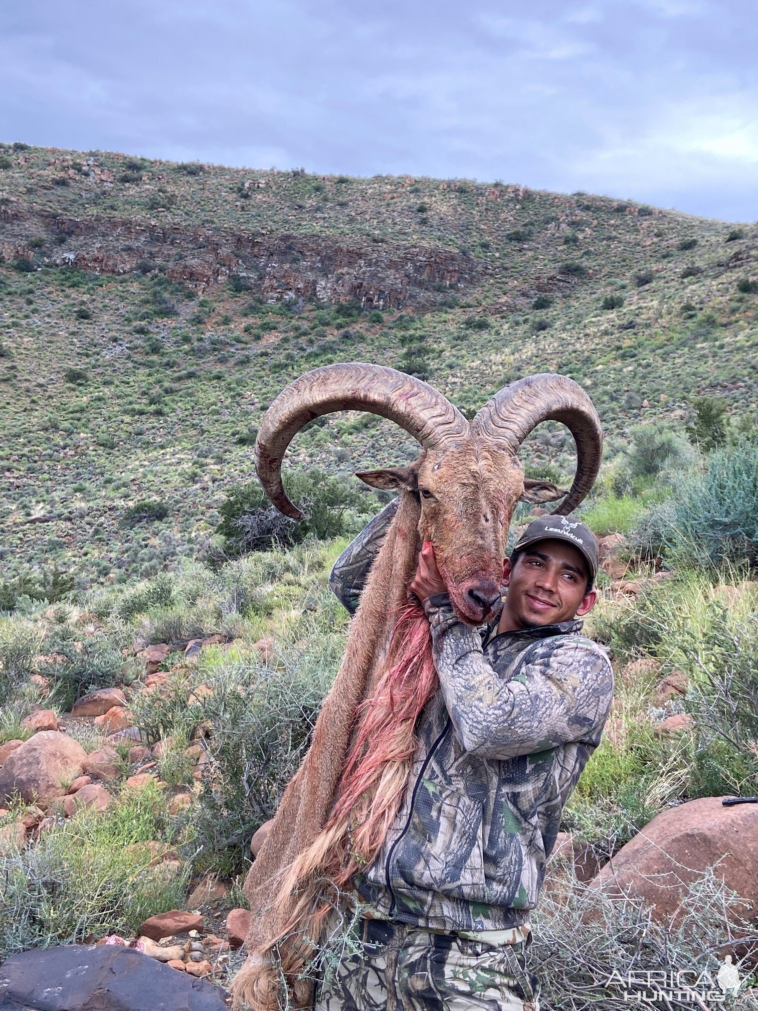 Aoudad Hunt Northern Cape South Africa