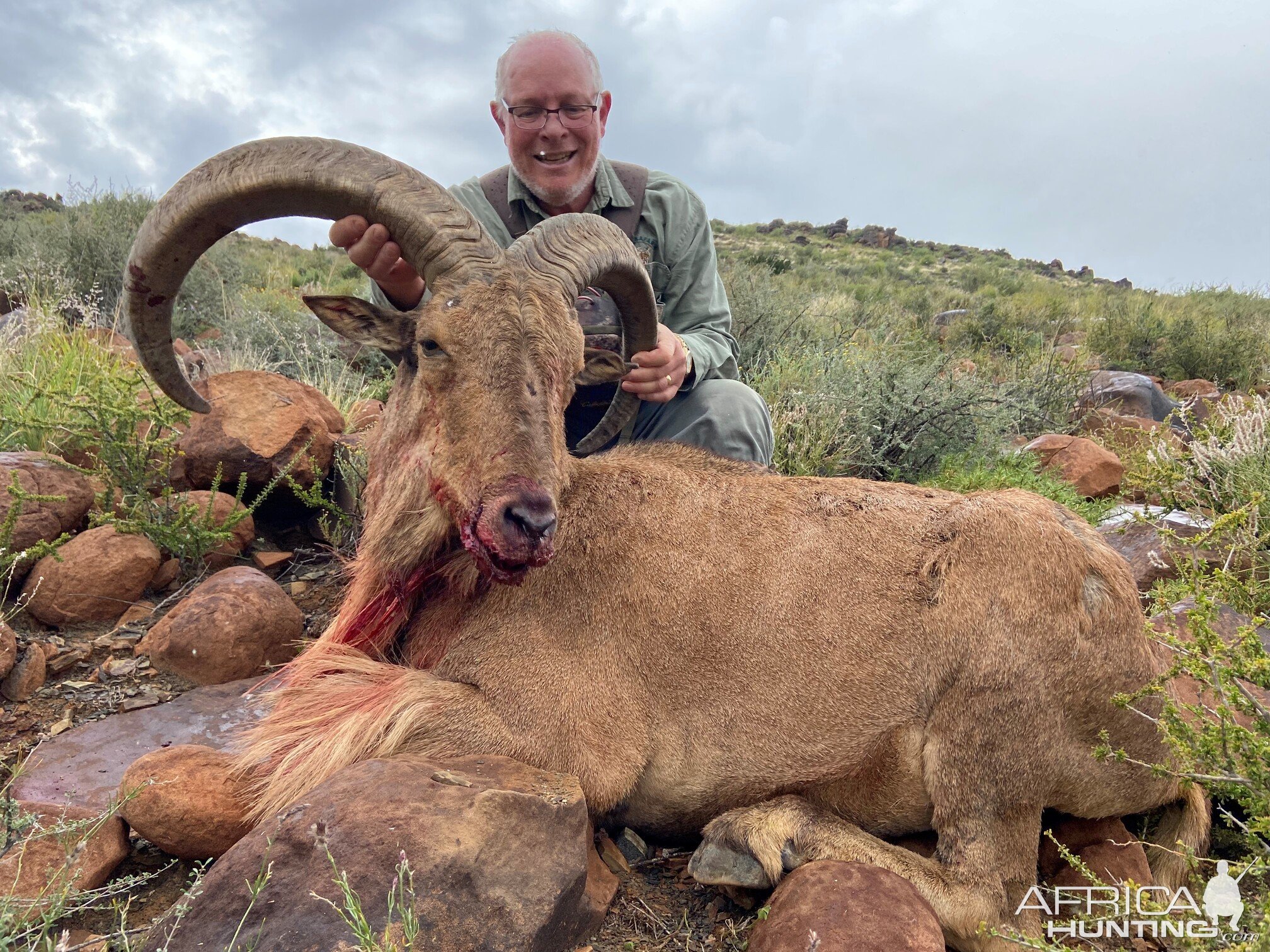 Aoudad Hunt Northern Cape South Africa