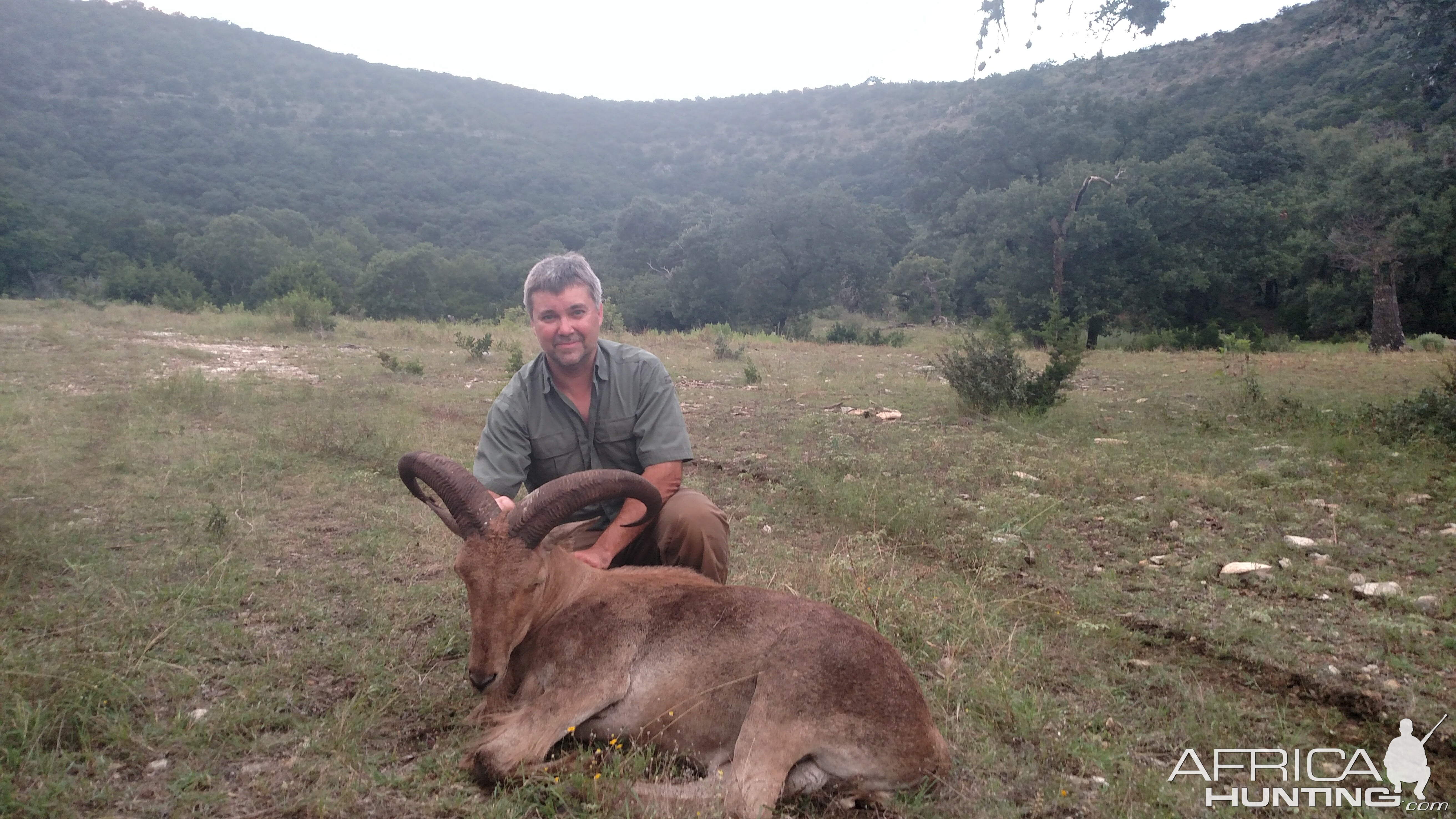 Aoudad Hunt