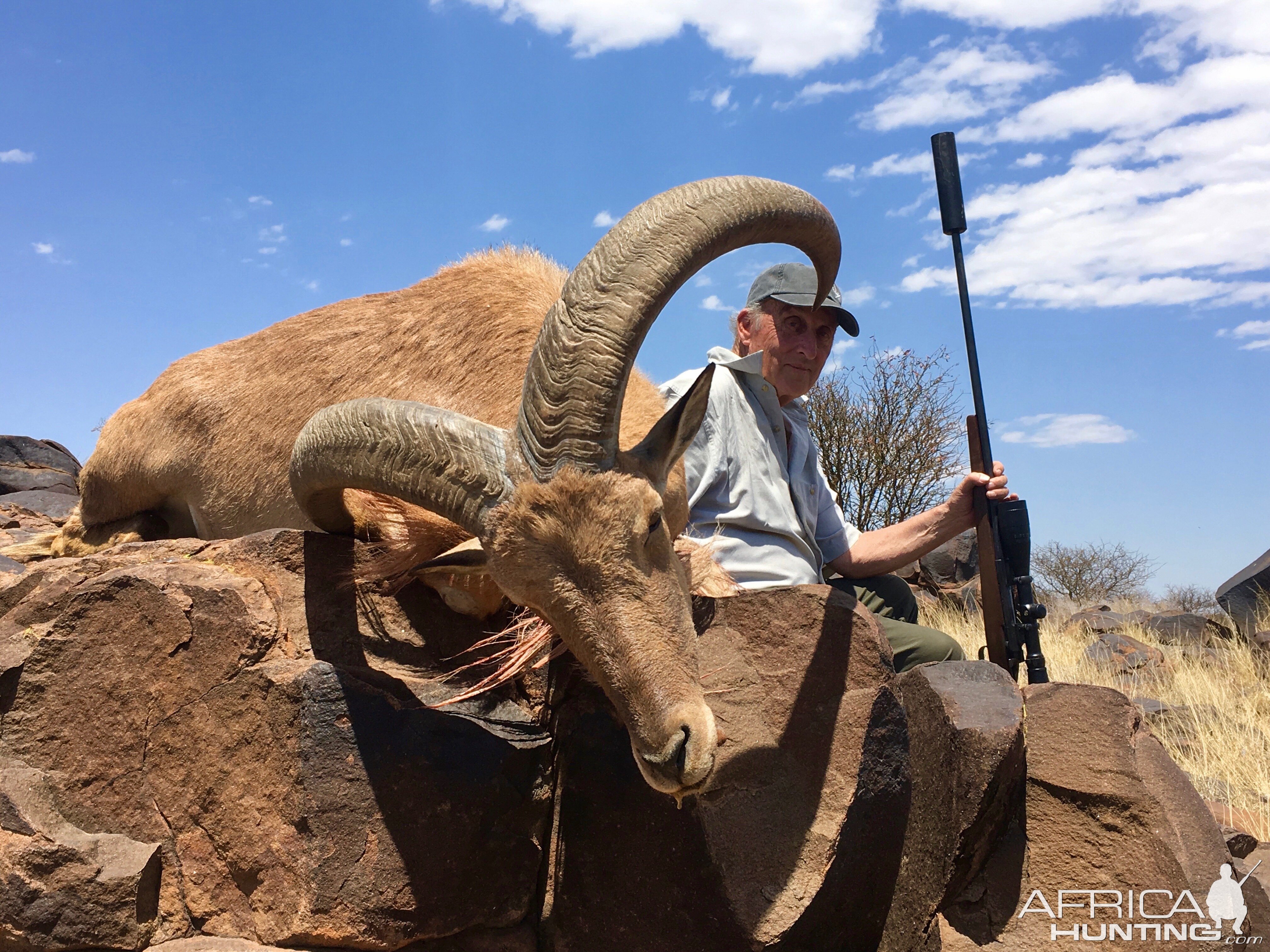 Aoudad Hunting South Africa