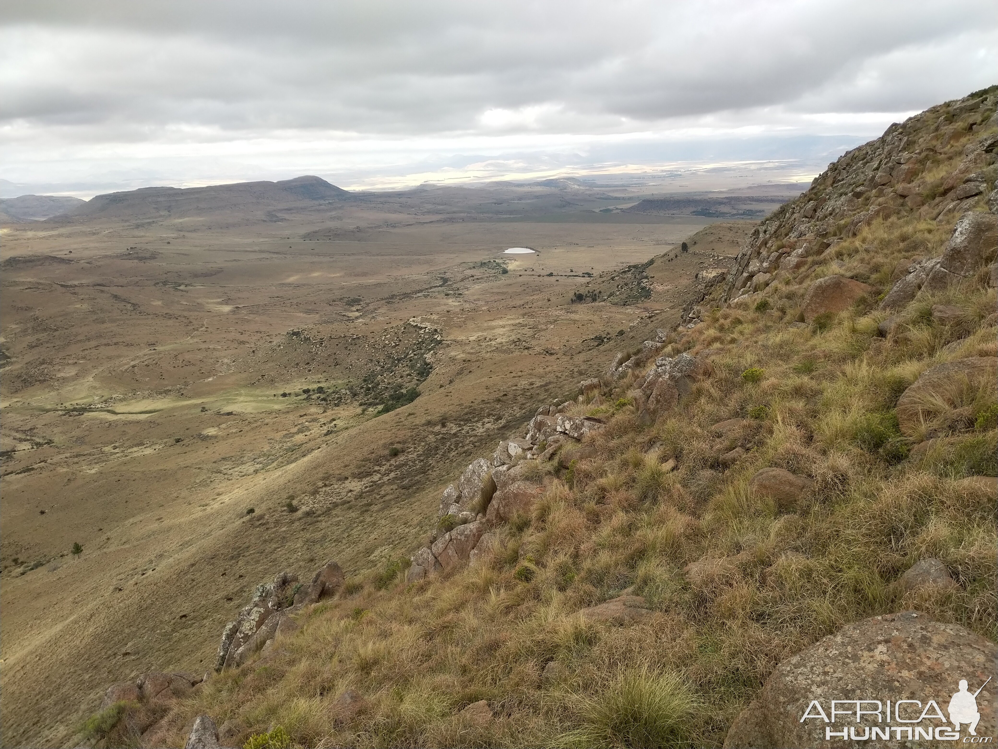 Aoudad Hunting South Africa