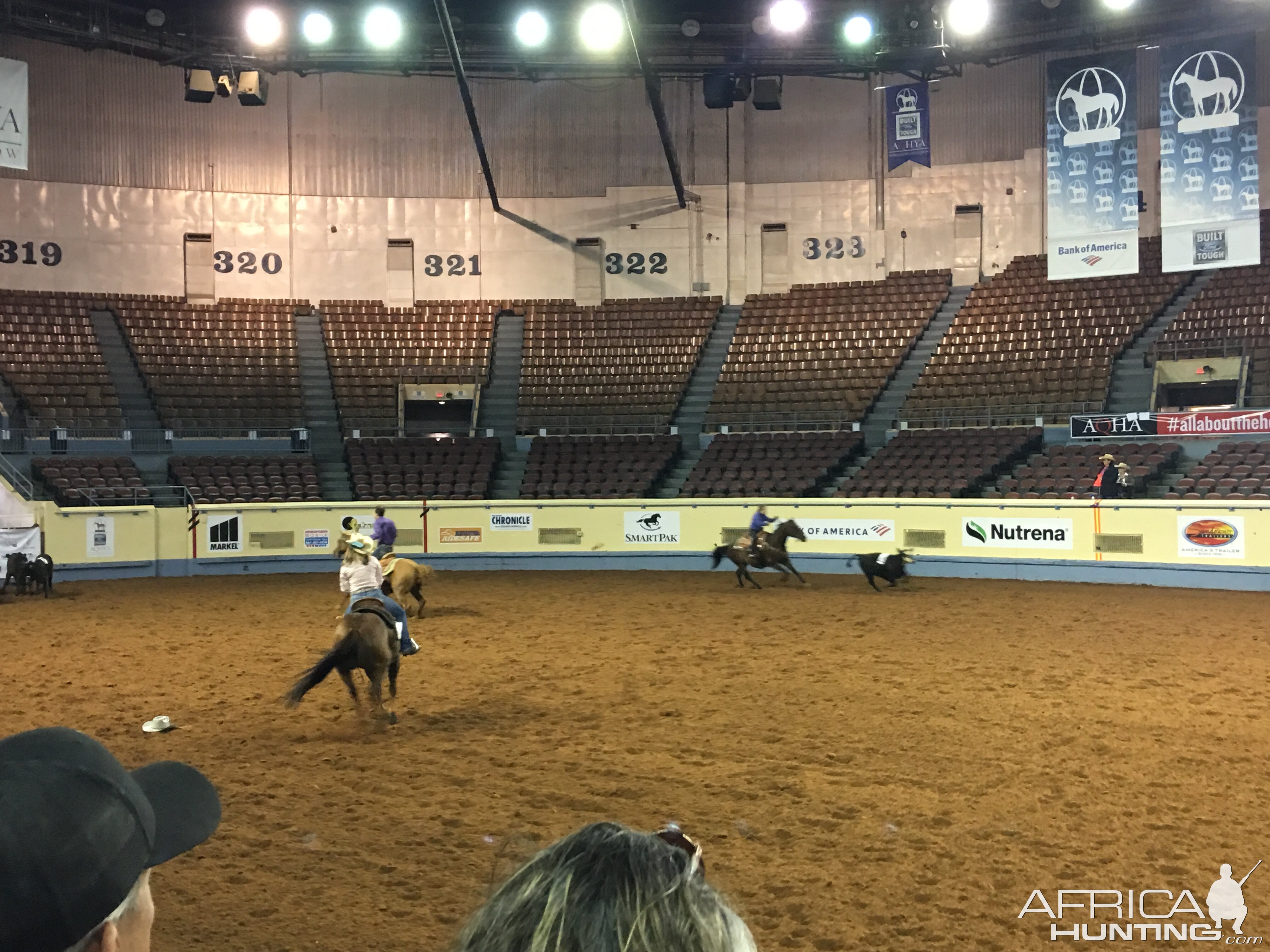 AQHA youth World Finals