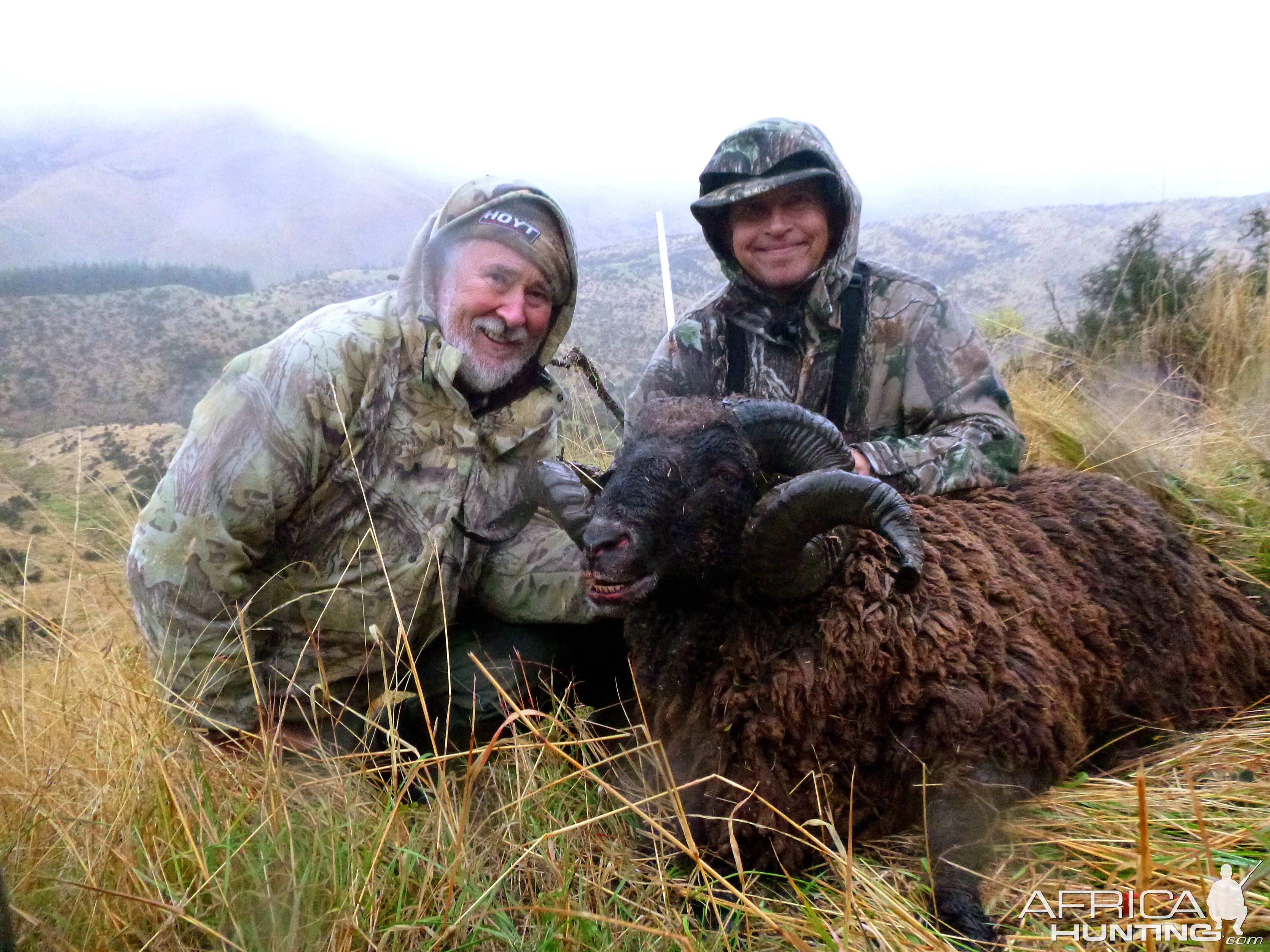 Arapawa Ram Hunt New Zealand