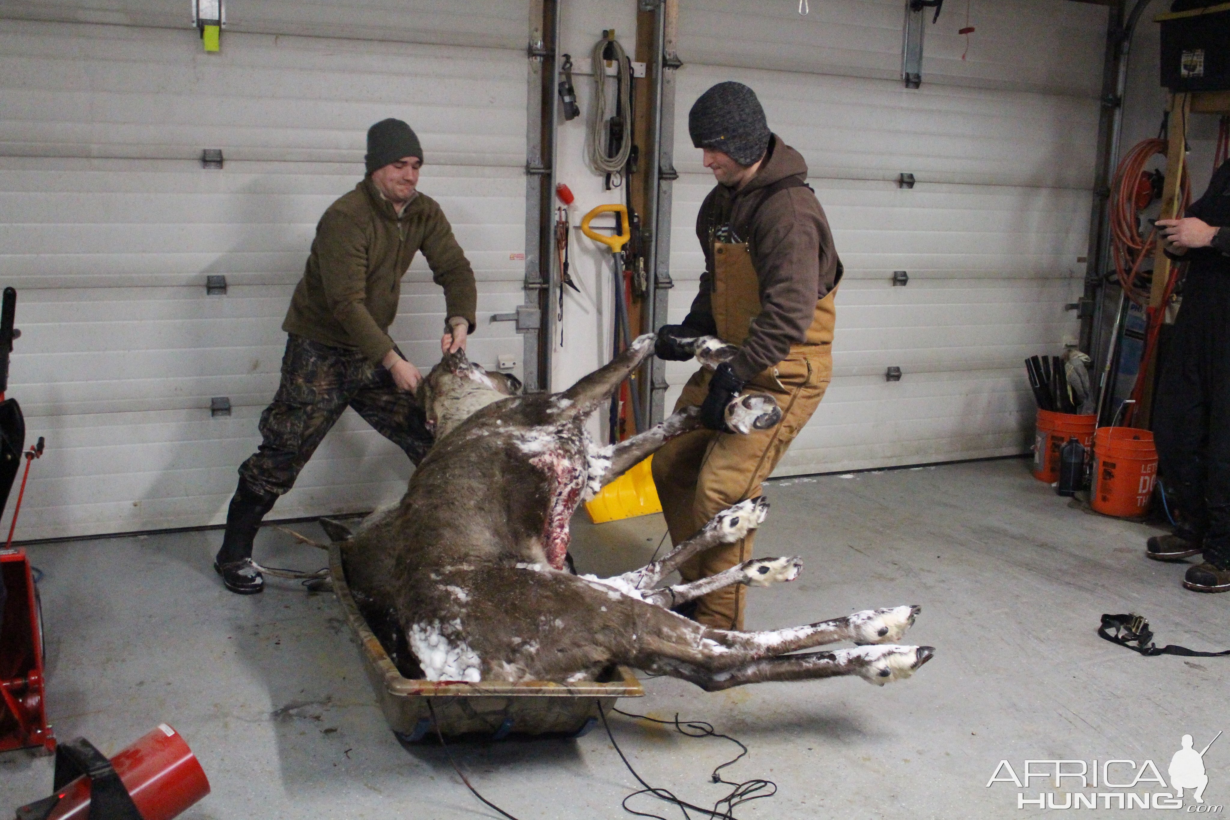 Arctic Caribou Hunt In 22 Below Zero Feirenhight Temps