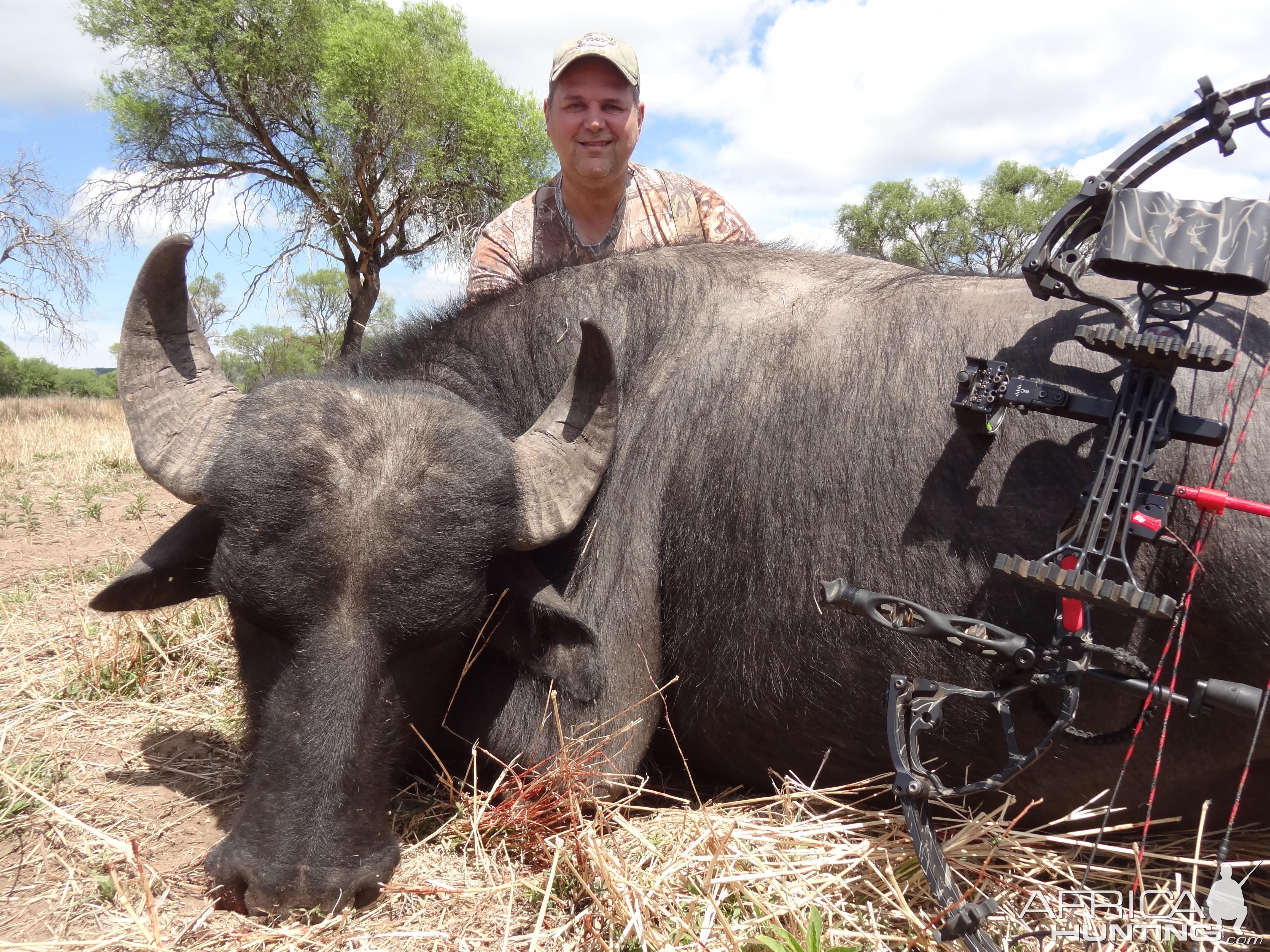 Argentina Bow Hunt Water Buffalo