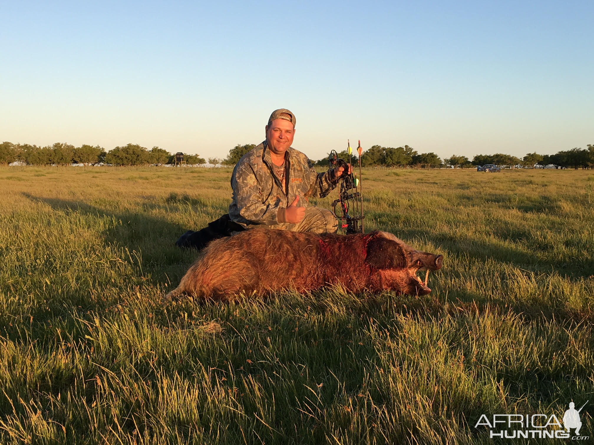 Argentina Bow Hunting Wild Boar