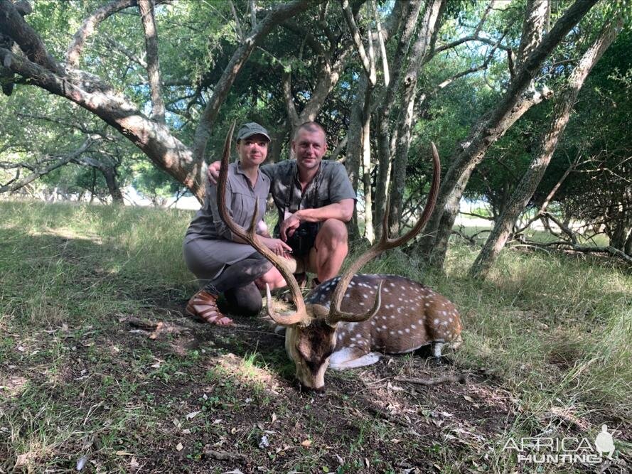 Argentina Hunt Axis Deer