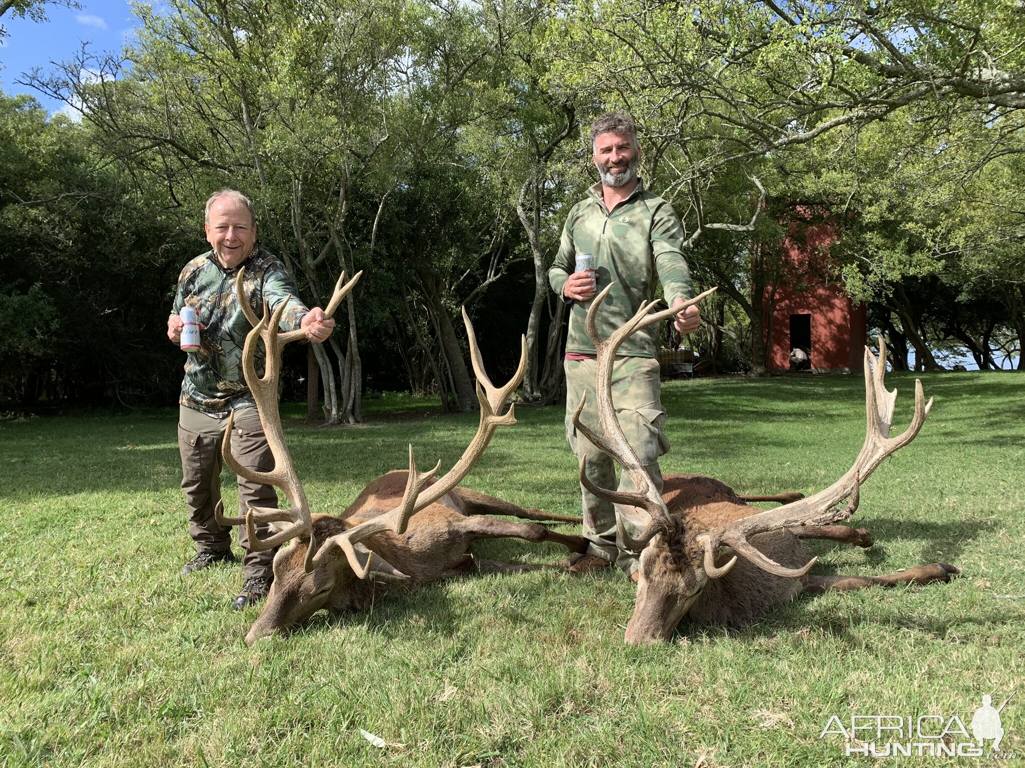 Argentina Hunt Red Stag