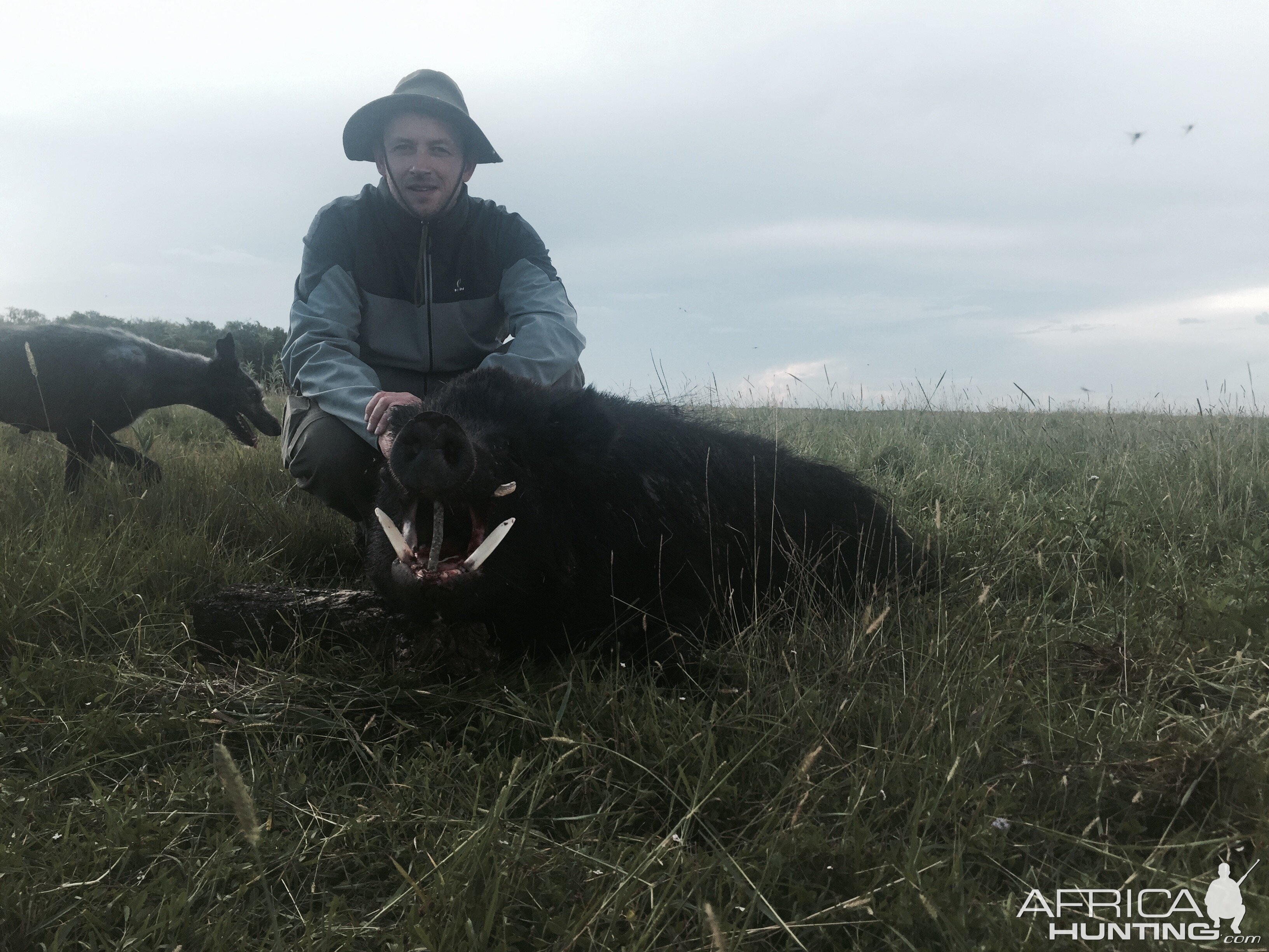 Argentina Hunting Wild Boar