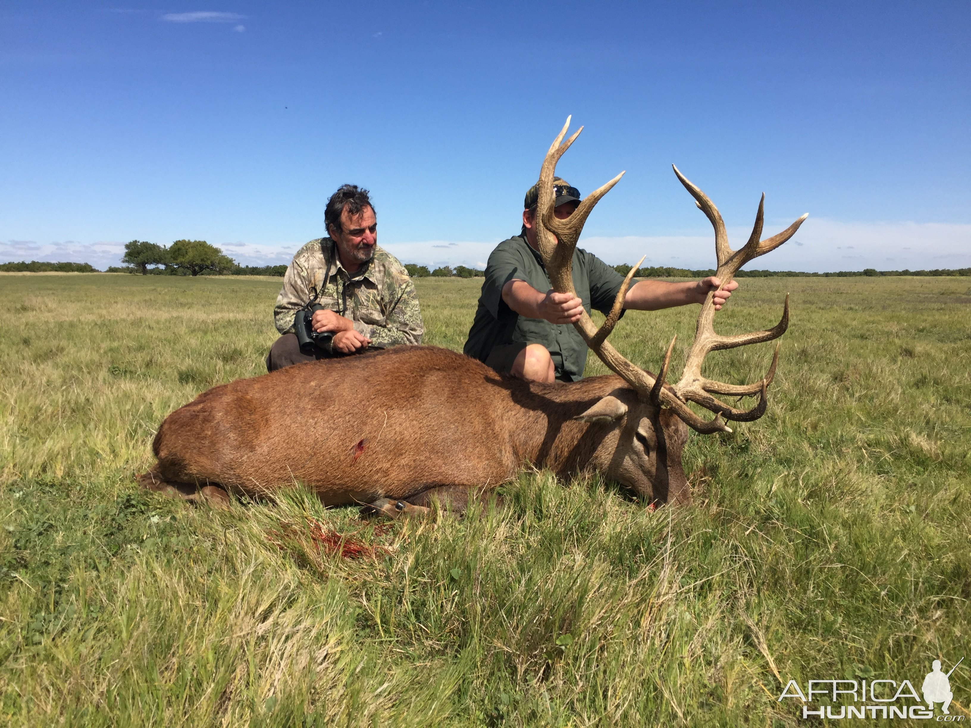 Argentina Red Stag Hunting