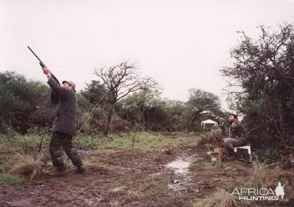 Argentina Wingshooting