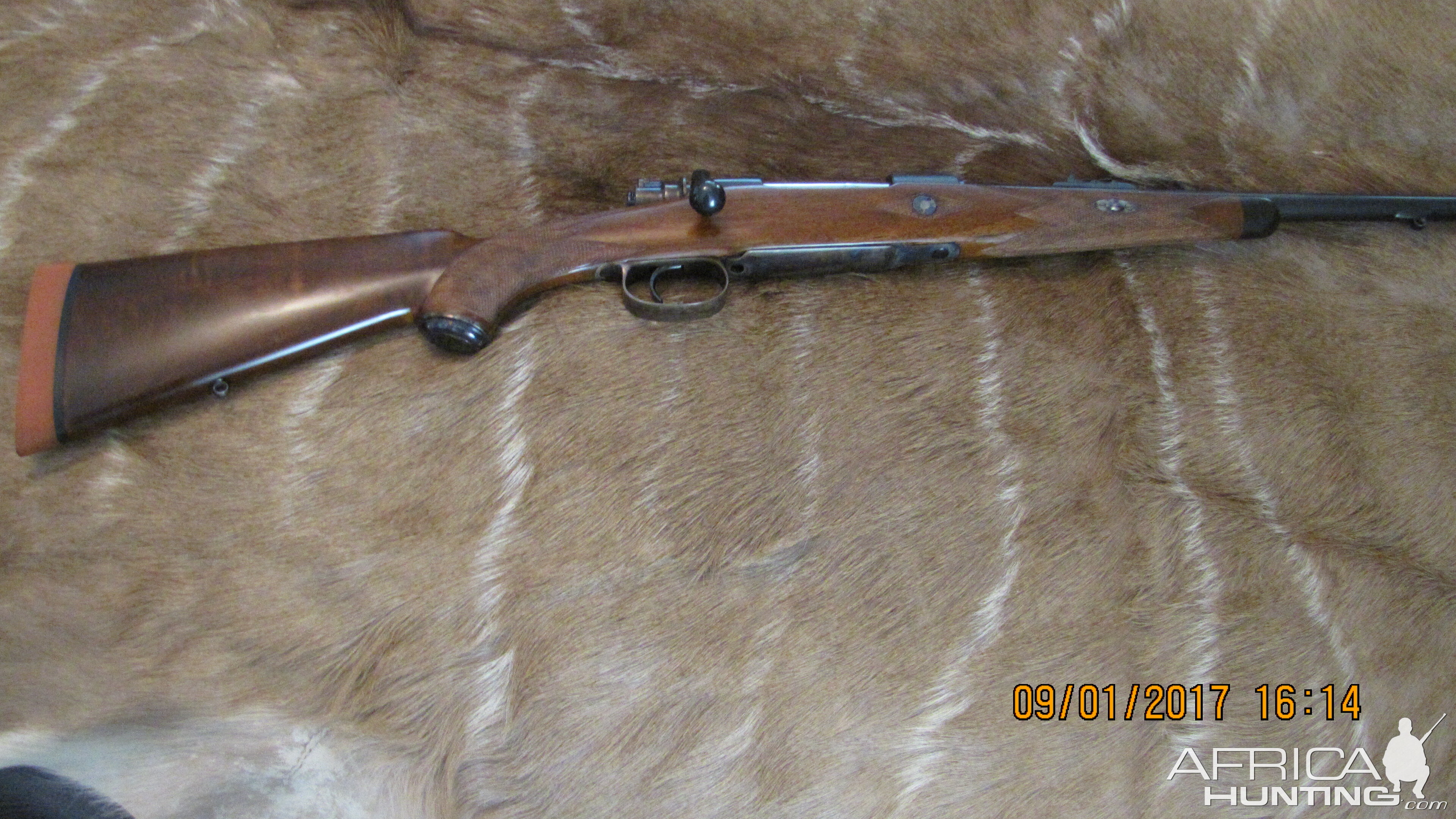 Army Navy Co-Op Society Rifle chambered in 404 Jeffery