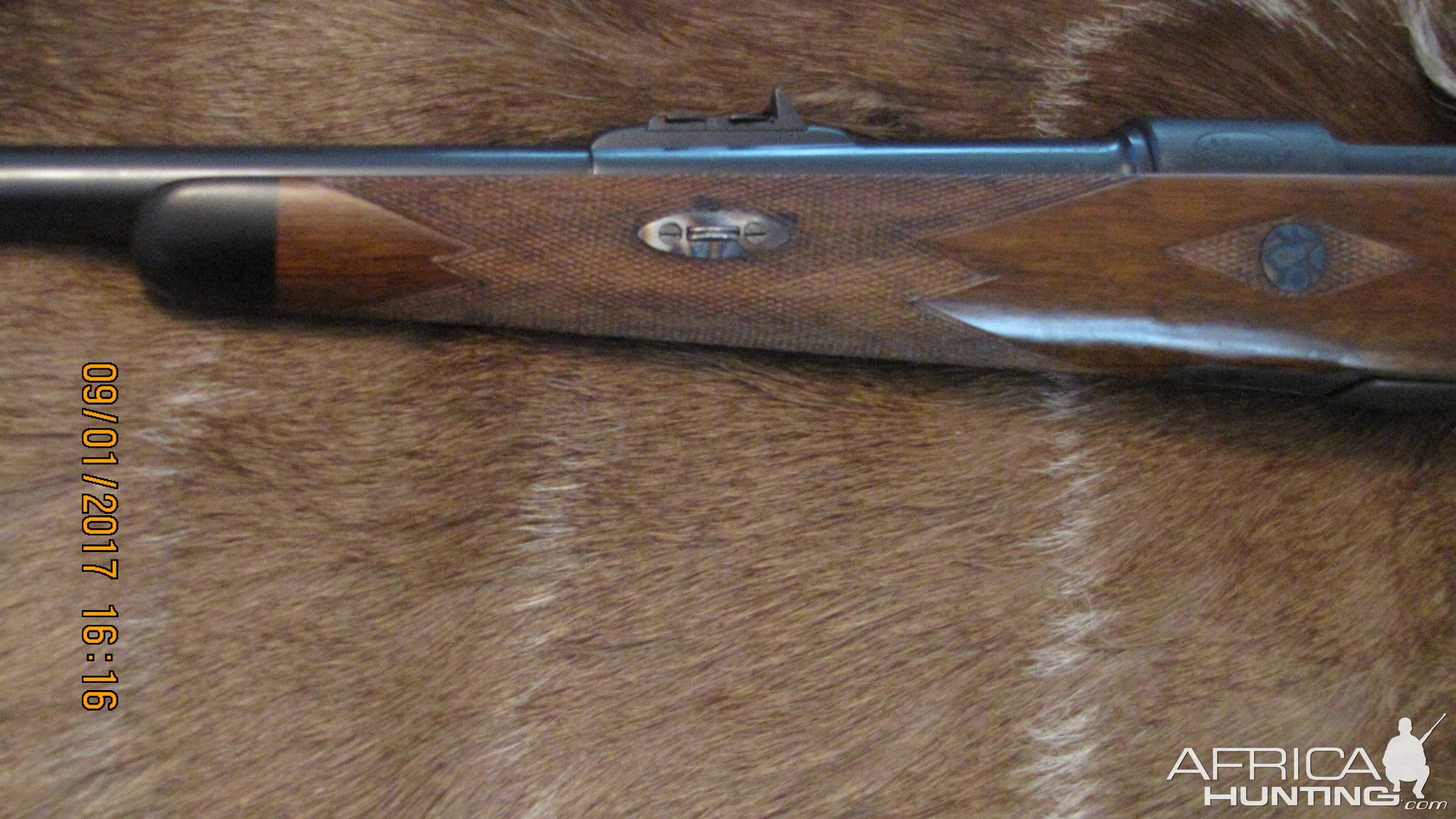 Army Navy Co-Op Society Rifle chambered in 404 Jeffery