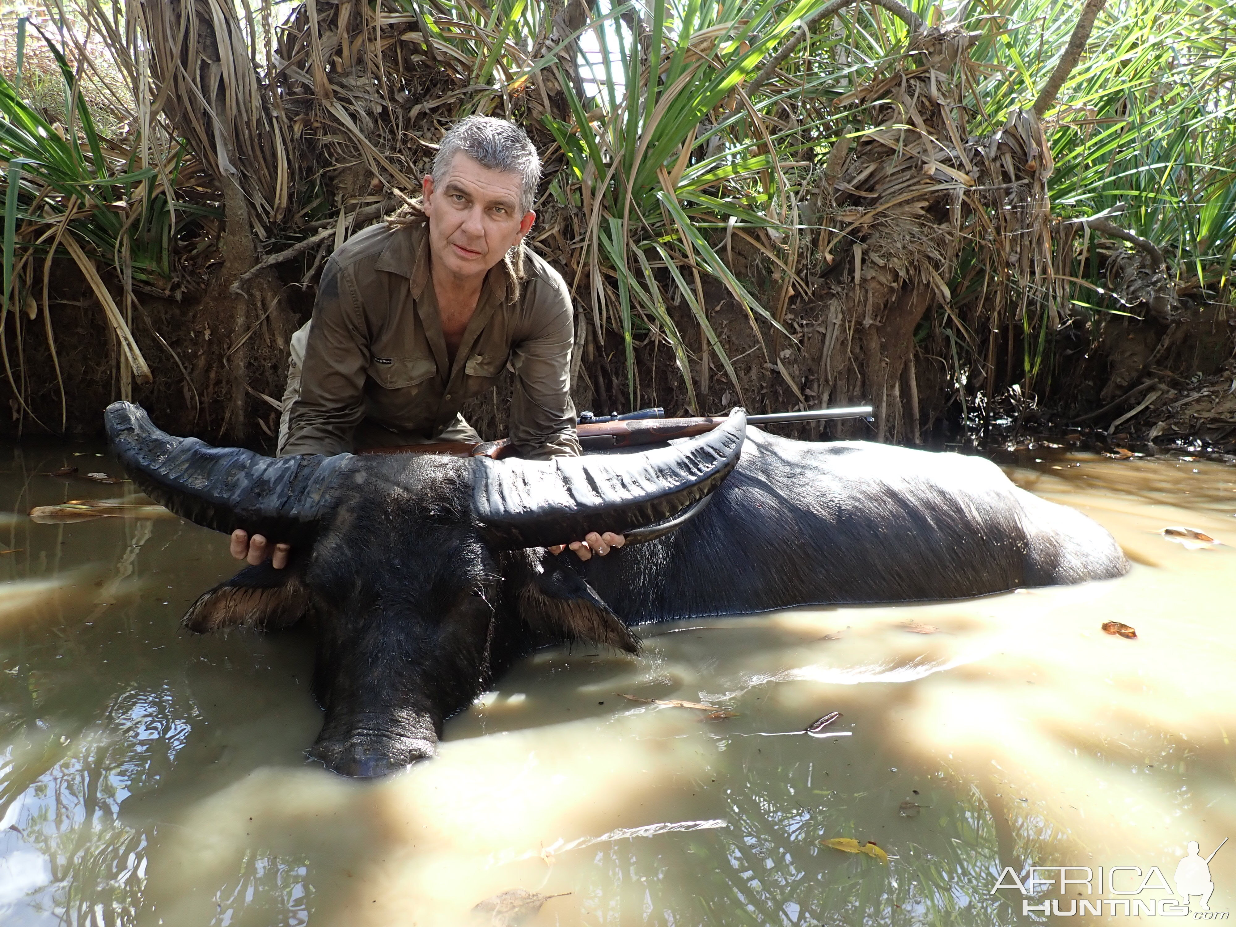 Asiatic Water Buffalo Hunt Australia