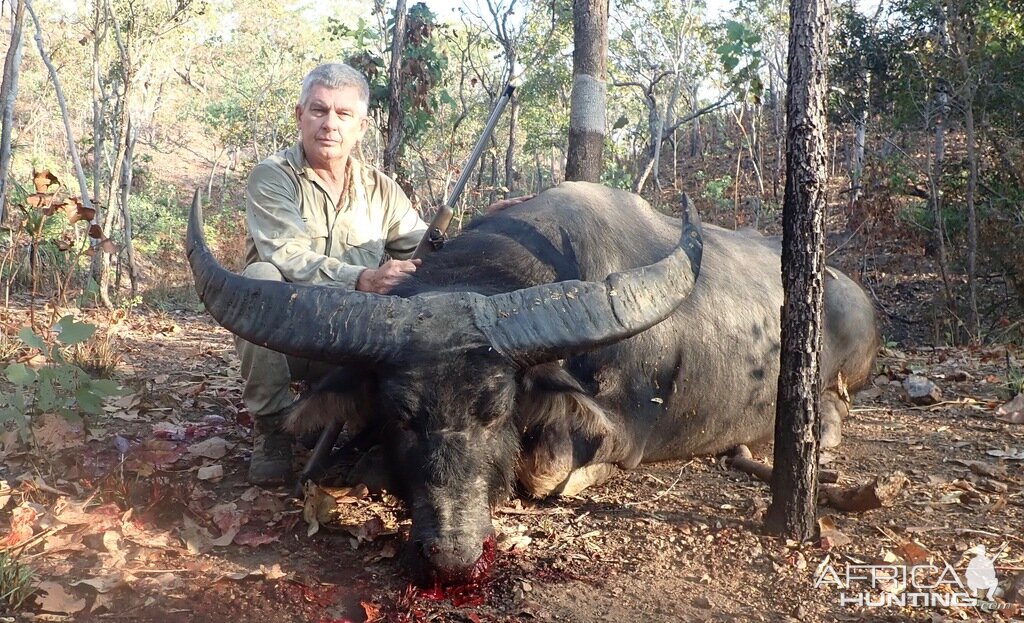 Asiatic Water Buffalo Hunt Australia