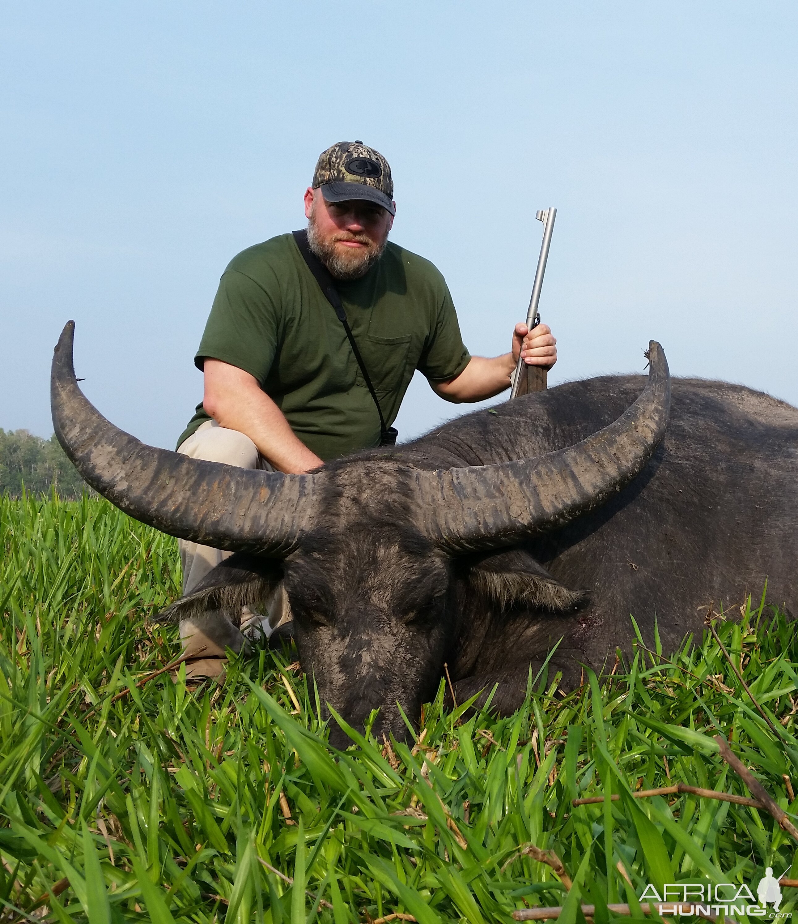 Asiatic Water Buffalo Hunt