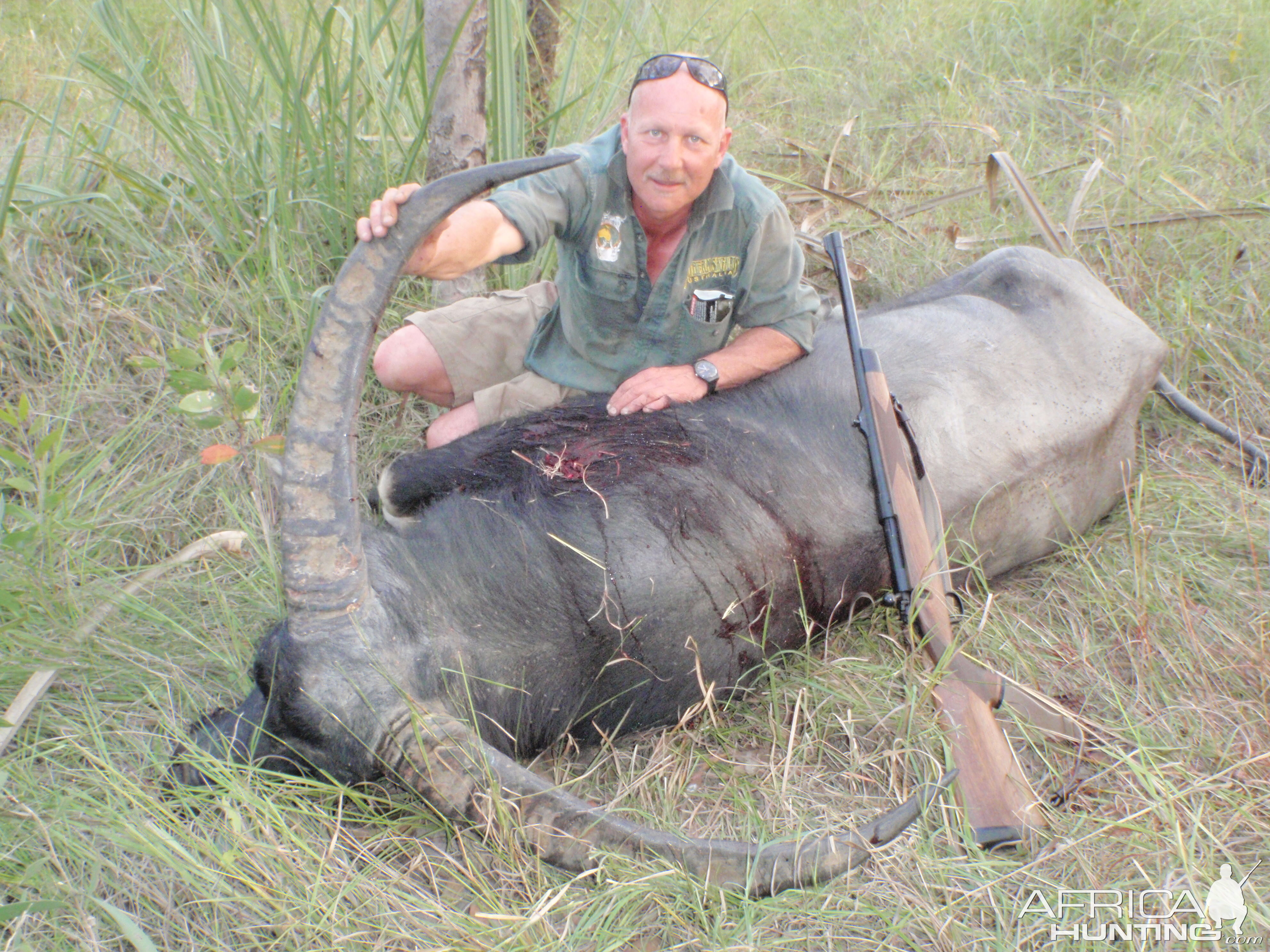 Asiatic Water Buffalo Hunt