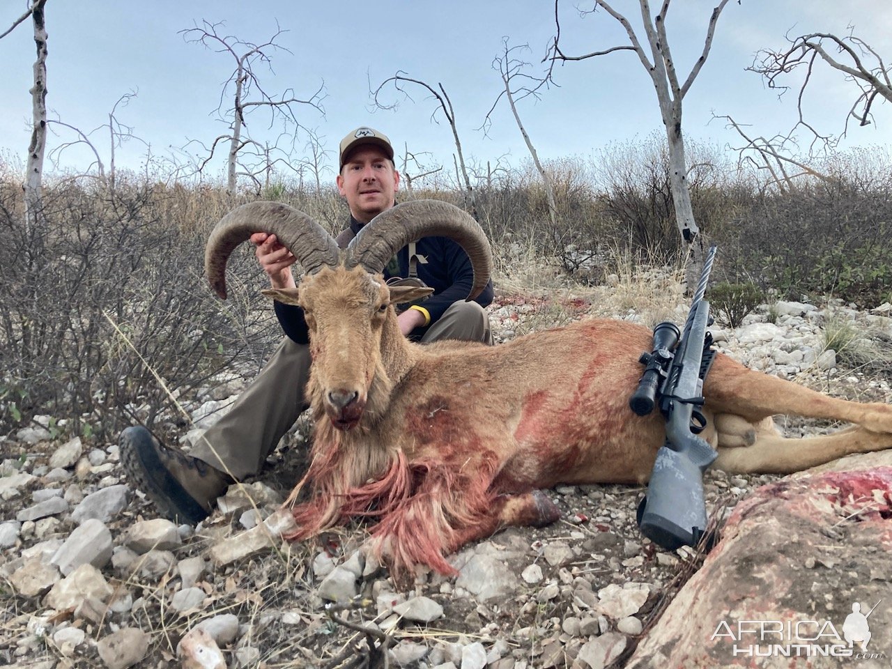 Auodad Hunt Texas