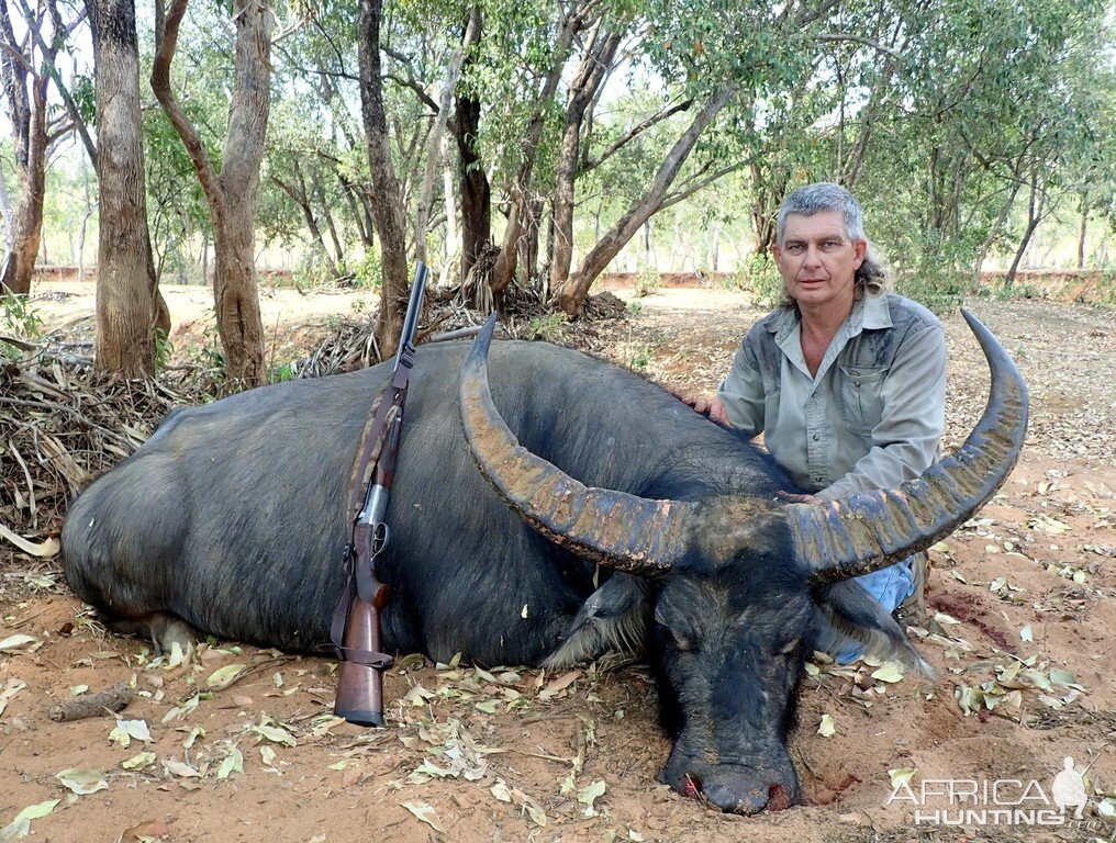 Australia Hunt Asiatic Water Buffalo